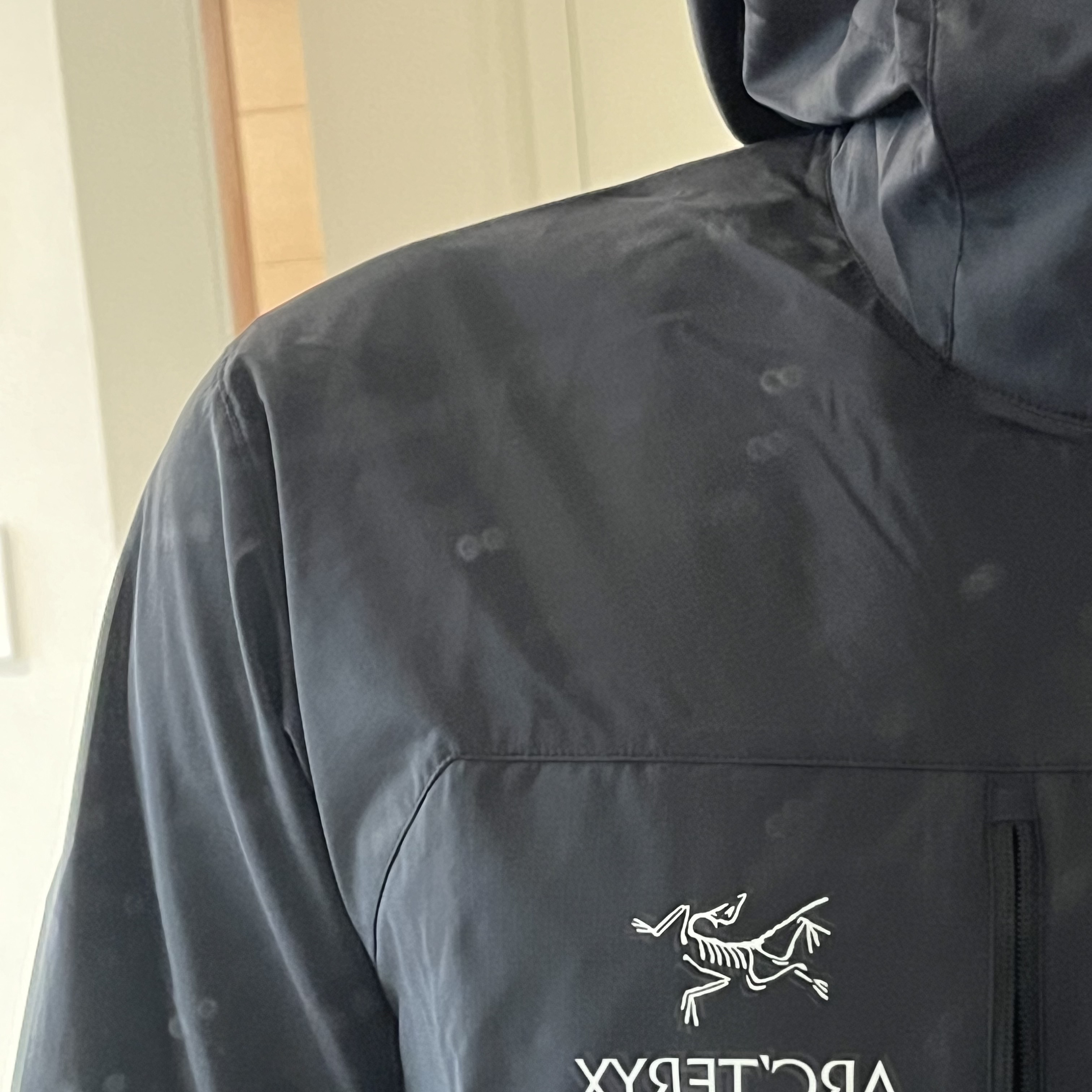 Arc'teryx Squamish Hoody Black 착용 스타일