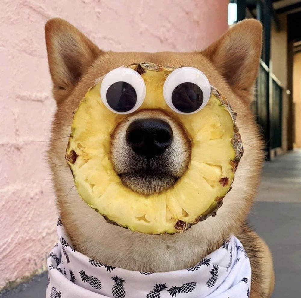 관심 유저 프로필 이미지