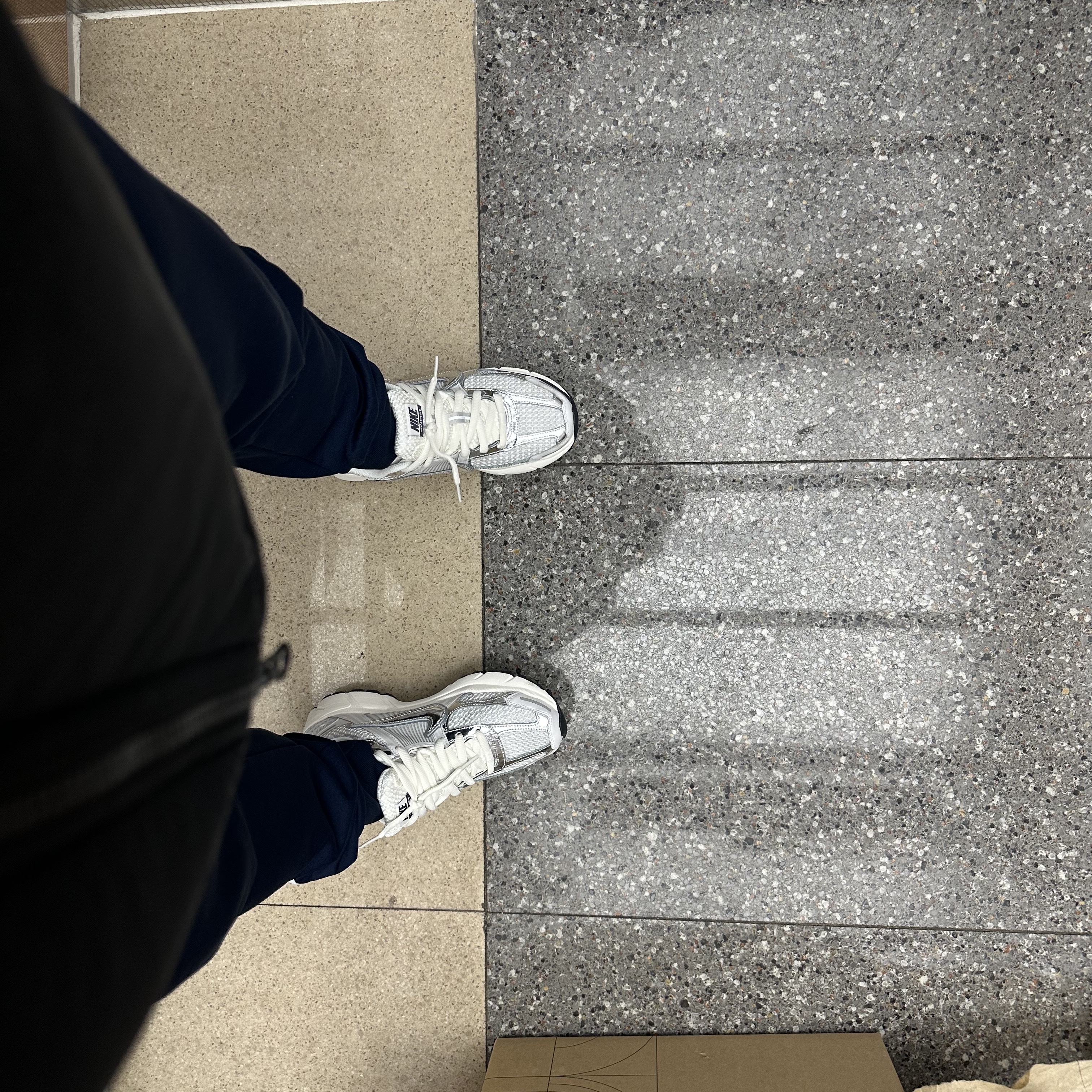 (W) Nike Zoom Vomero 5 Photon Dust and Metallic Silver 착용 스타일