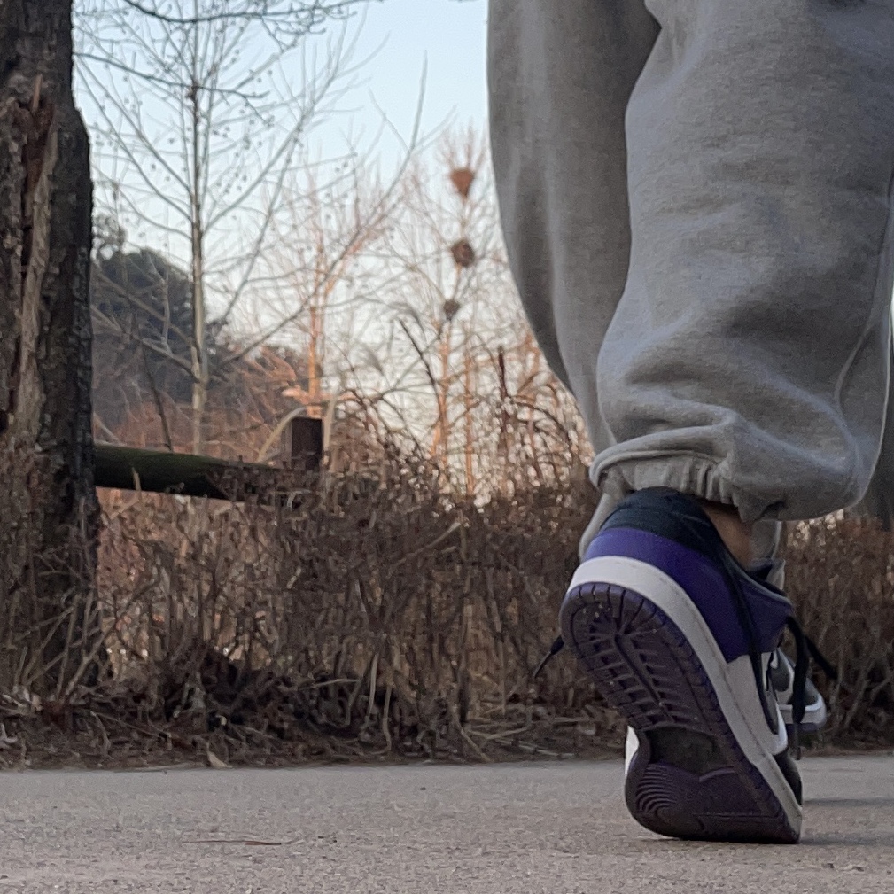 Nike SB Dunk Low Pro Court Purple 착용 스타일