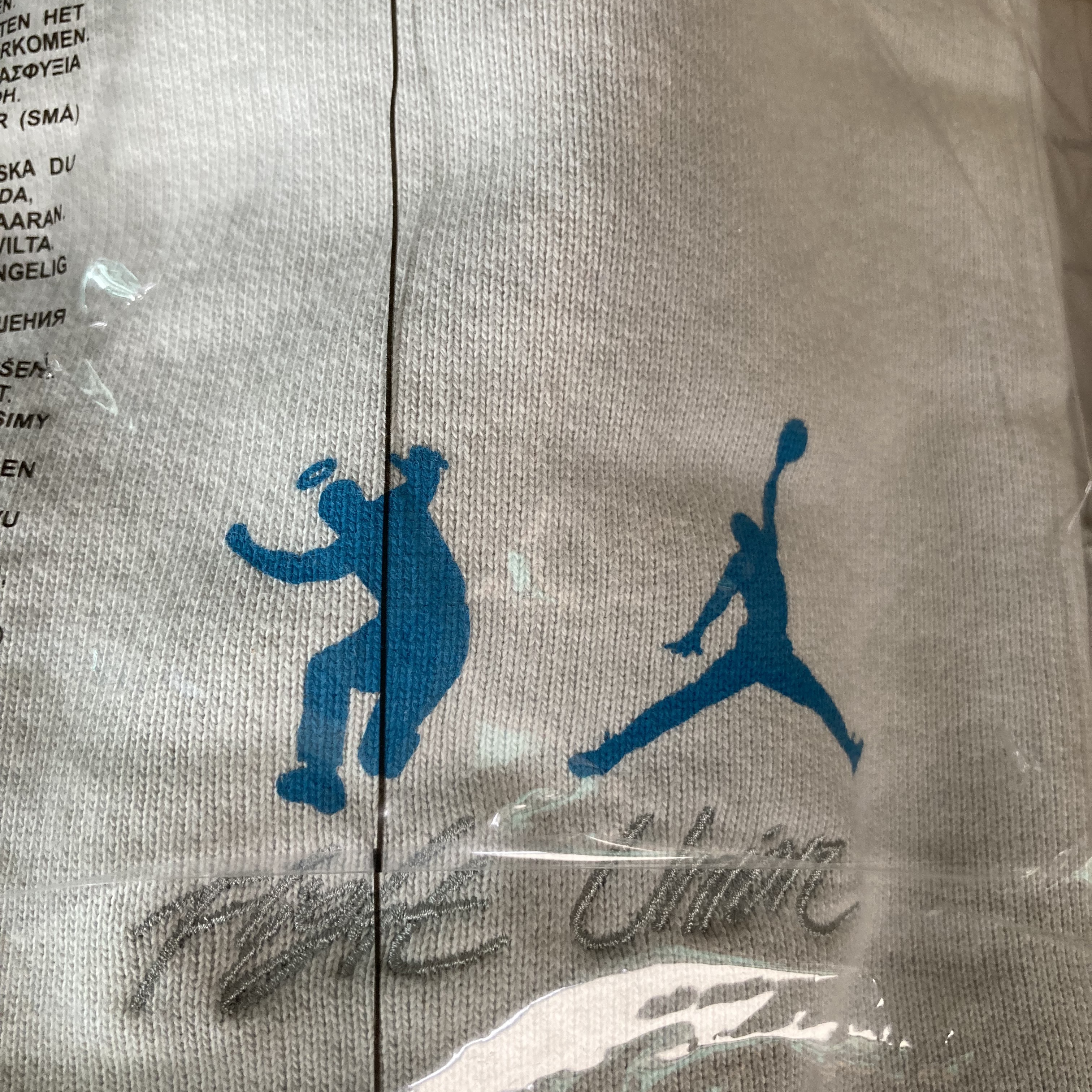 Jordan x Union Fleece Hoodie Photon Dust - Asia 착용 스타일
