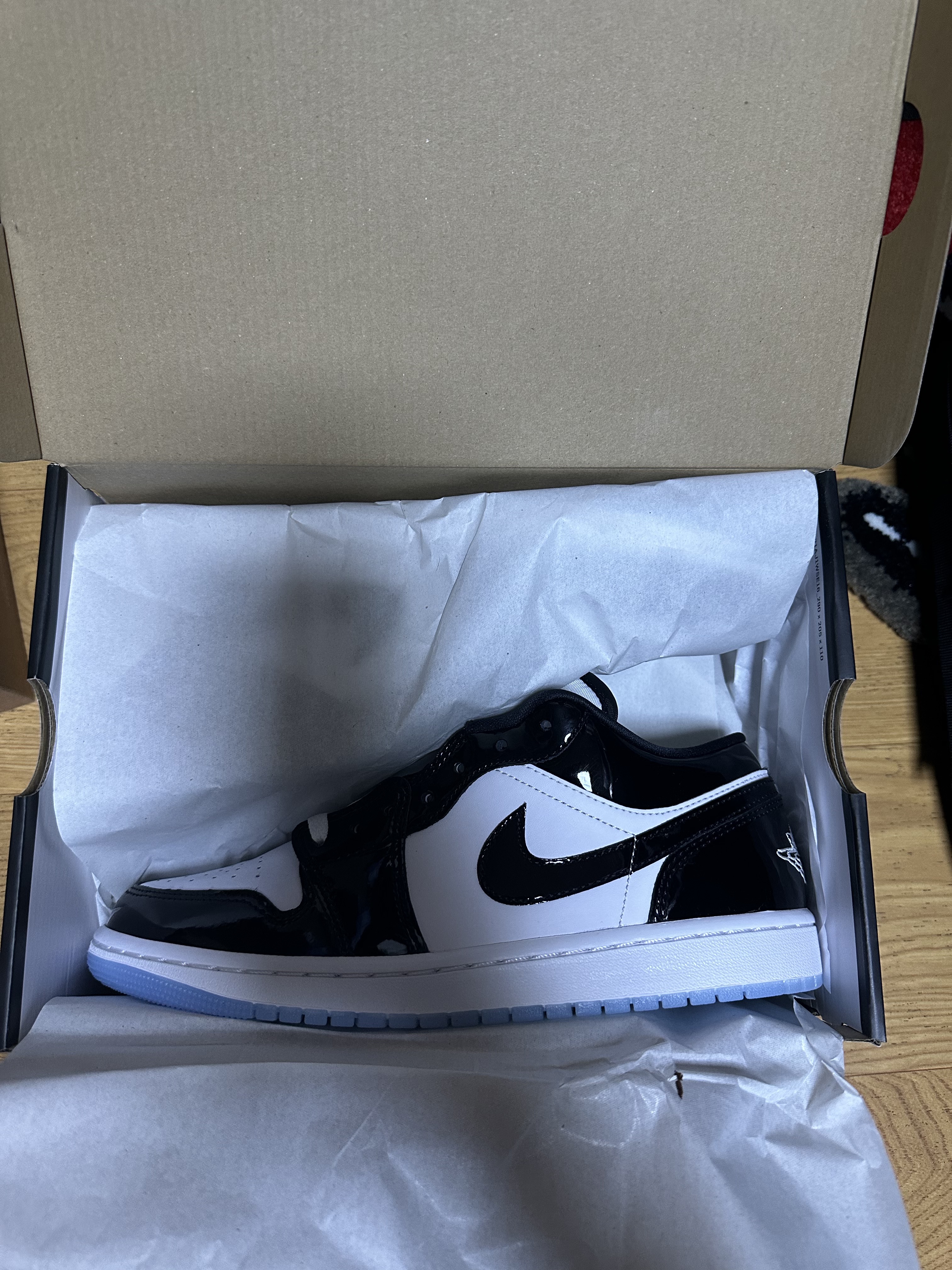 Jordan 1 Low SE Concord 착용 스타일