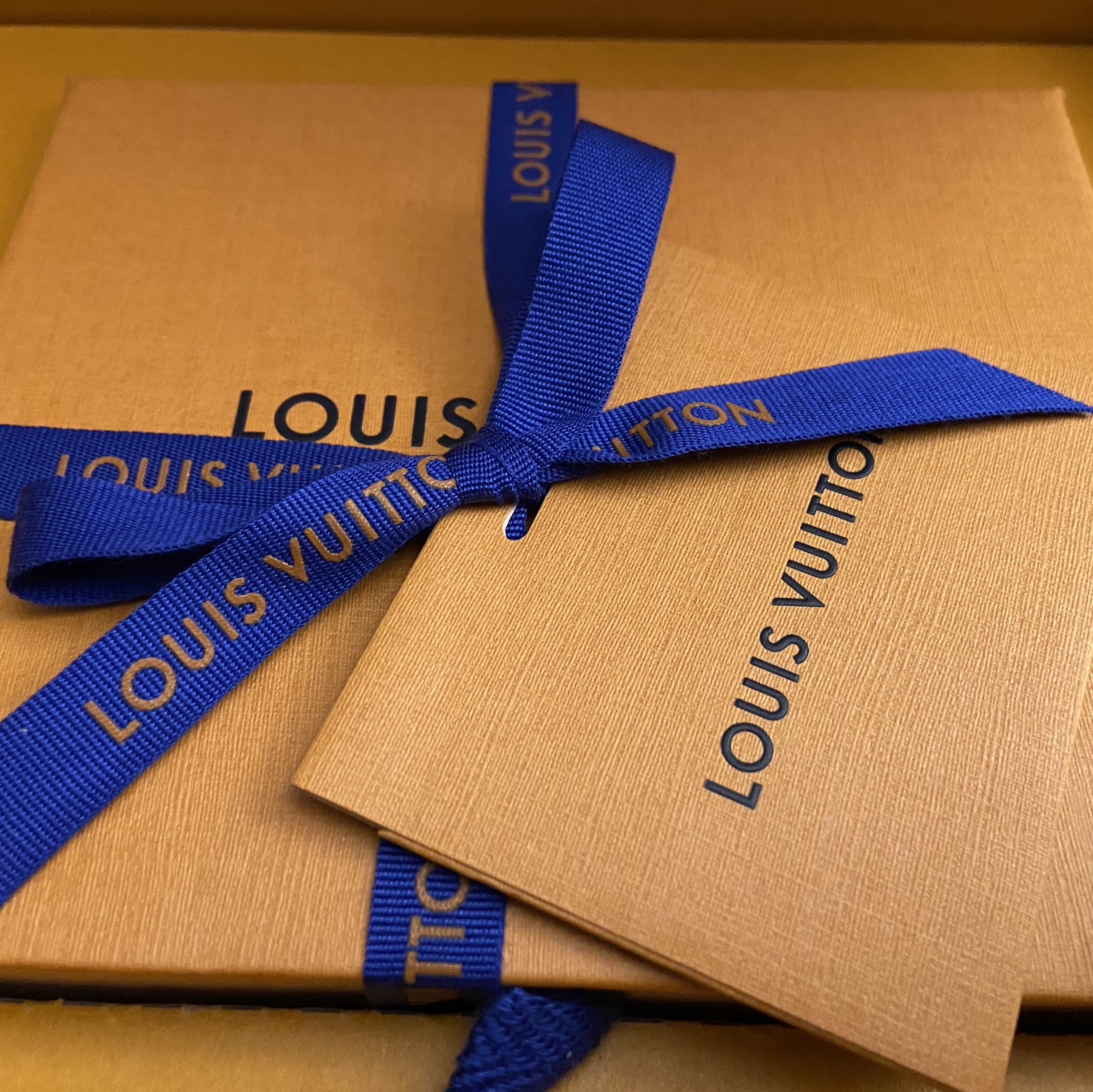 Louis Vuitton Envelope Business Card Holder Monogram 착용 스타일 - 2