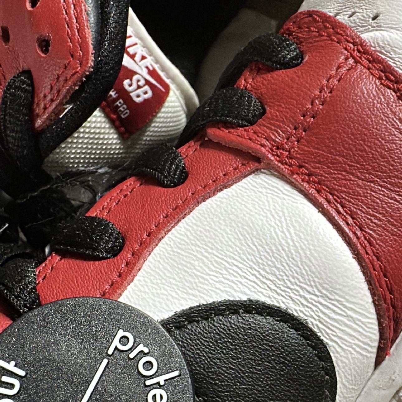 Nike SB Dunk Low Pro Chicago 착용 스타일