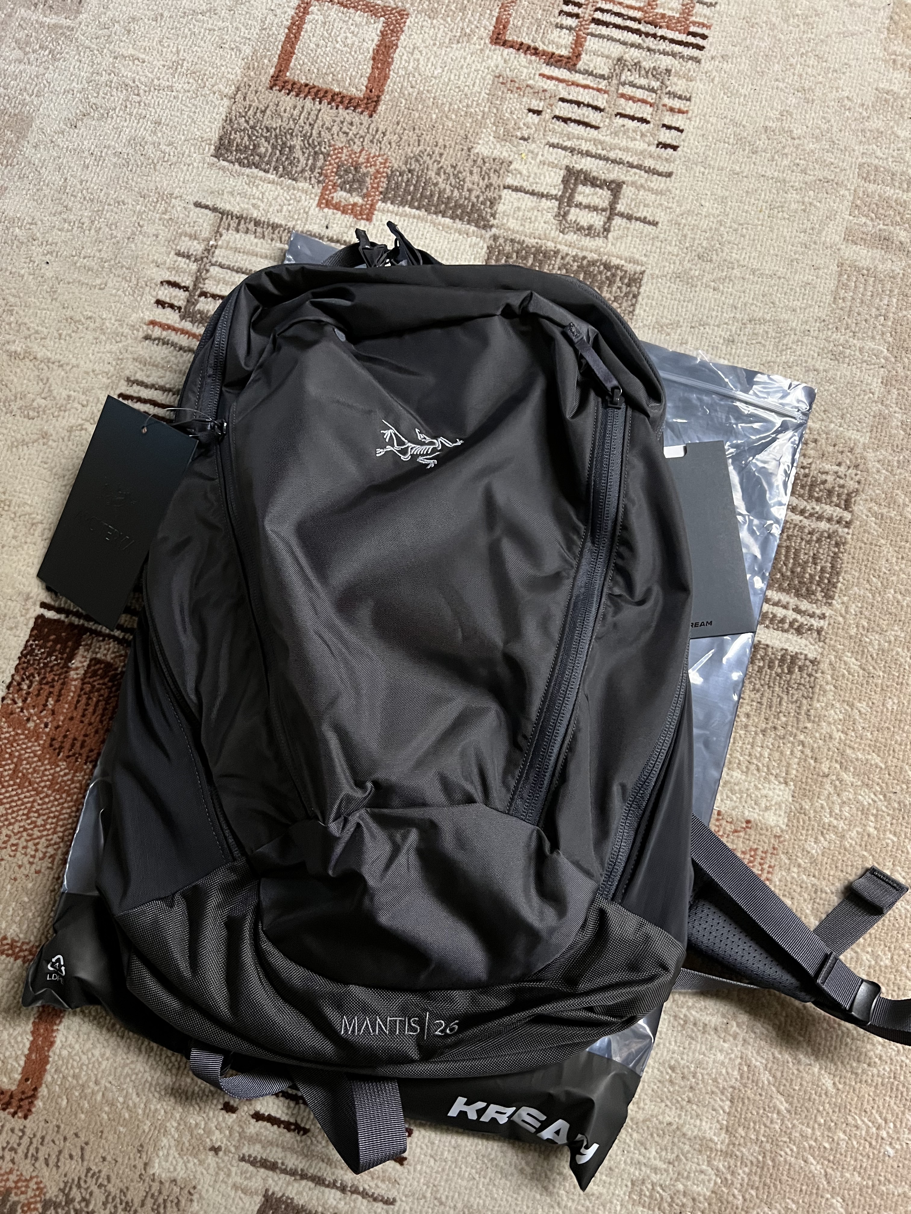 Arc'teryx Mantis 26 Backpack Pilot 착용 스타일