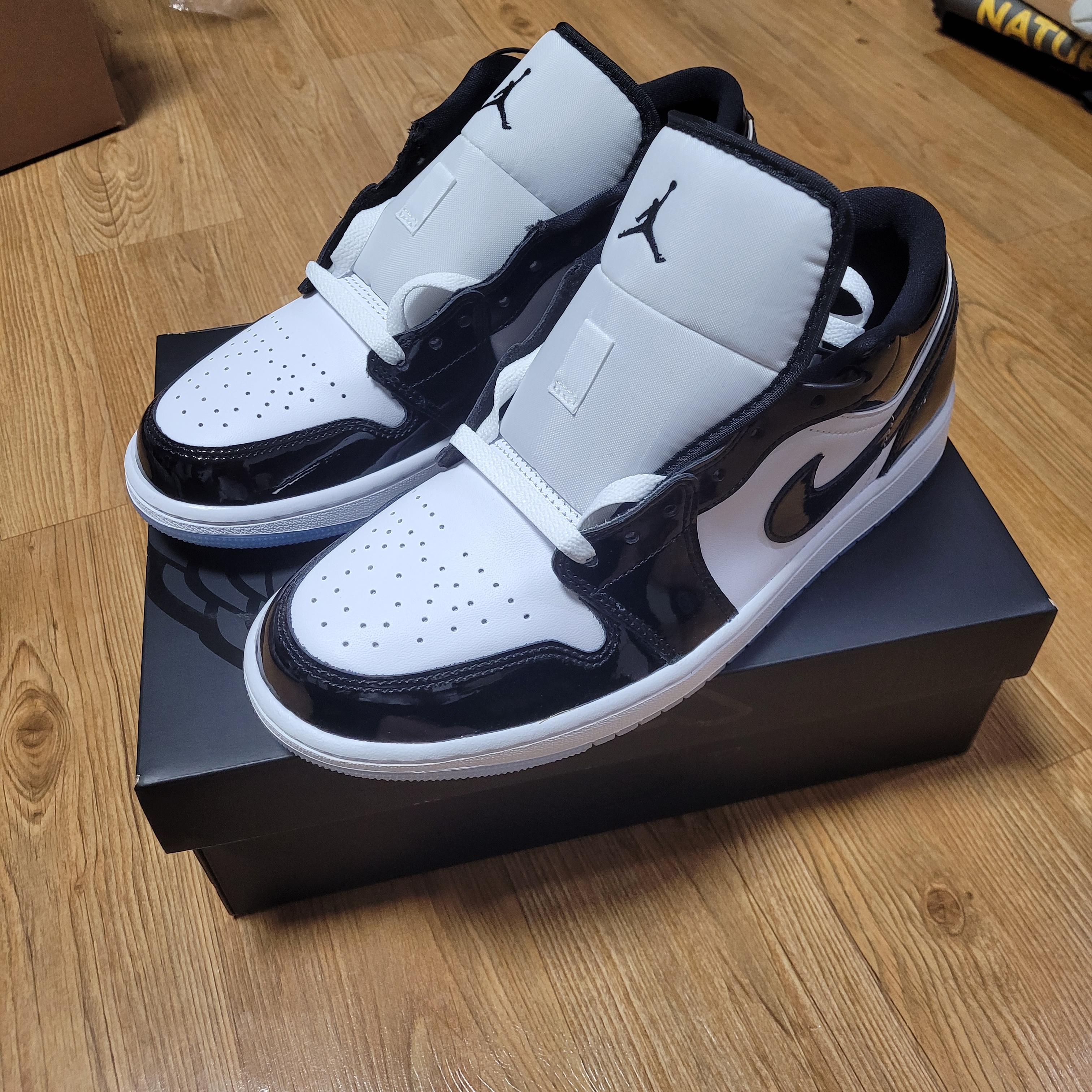 Jordan 1 Low SE Concord 착용 스타일