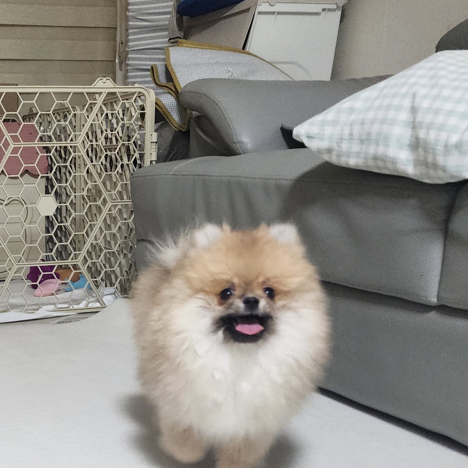 김성록님의 스타일
