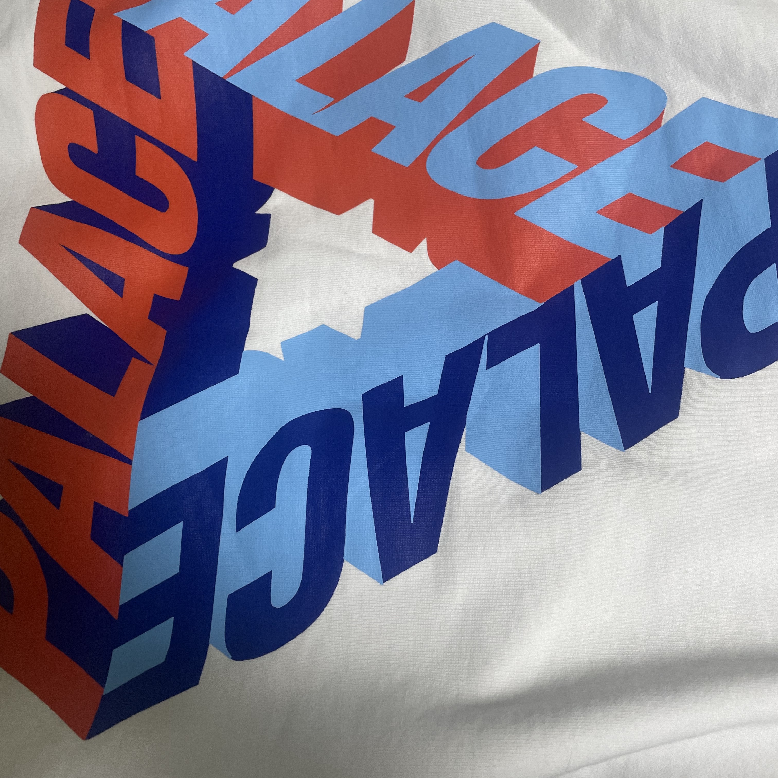 Palace P-3D Hood White - 21FW 착용 스타일