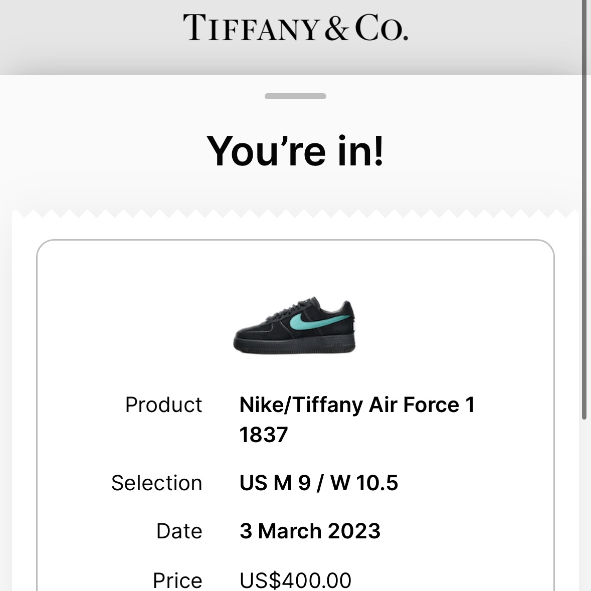 Nike x Tiffany & Co. Air Force 1 Low SP 1837 착용 스타일