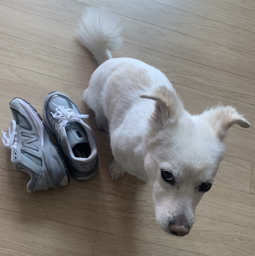 (W) New Balance 990v5 Made in USA Grey - B Standard 착용 스타일