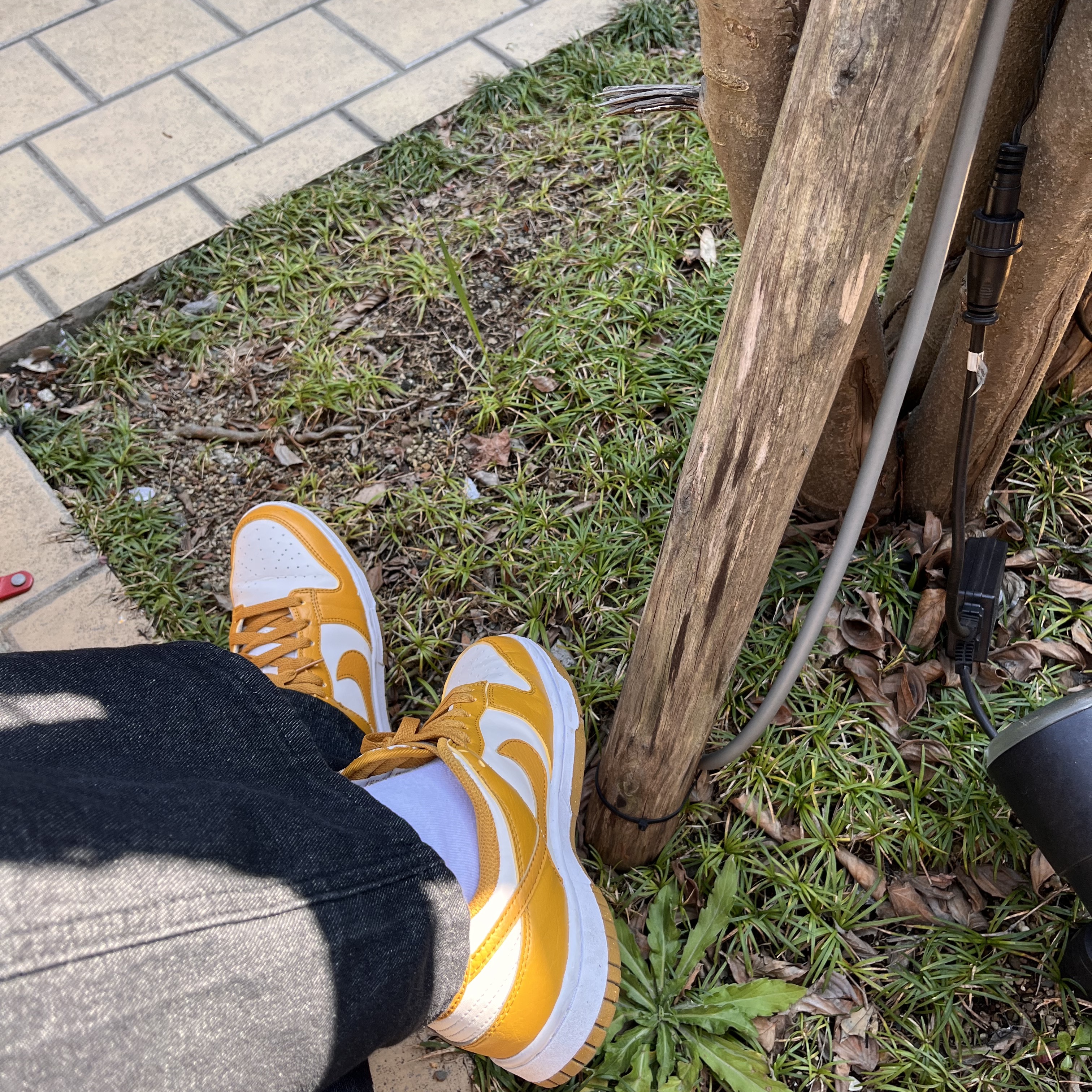 (W) Nike Dunk Low Next Nature Phantom 착용 스타일 - 2