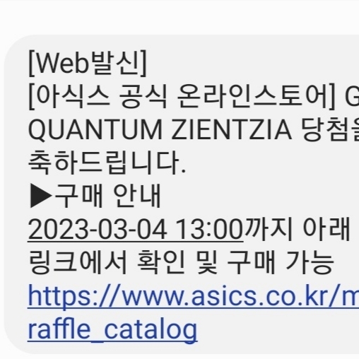 Asics x Kiko Kostadinov Gel-Quantum Zientzia Dark Grey 착용 스타일