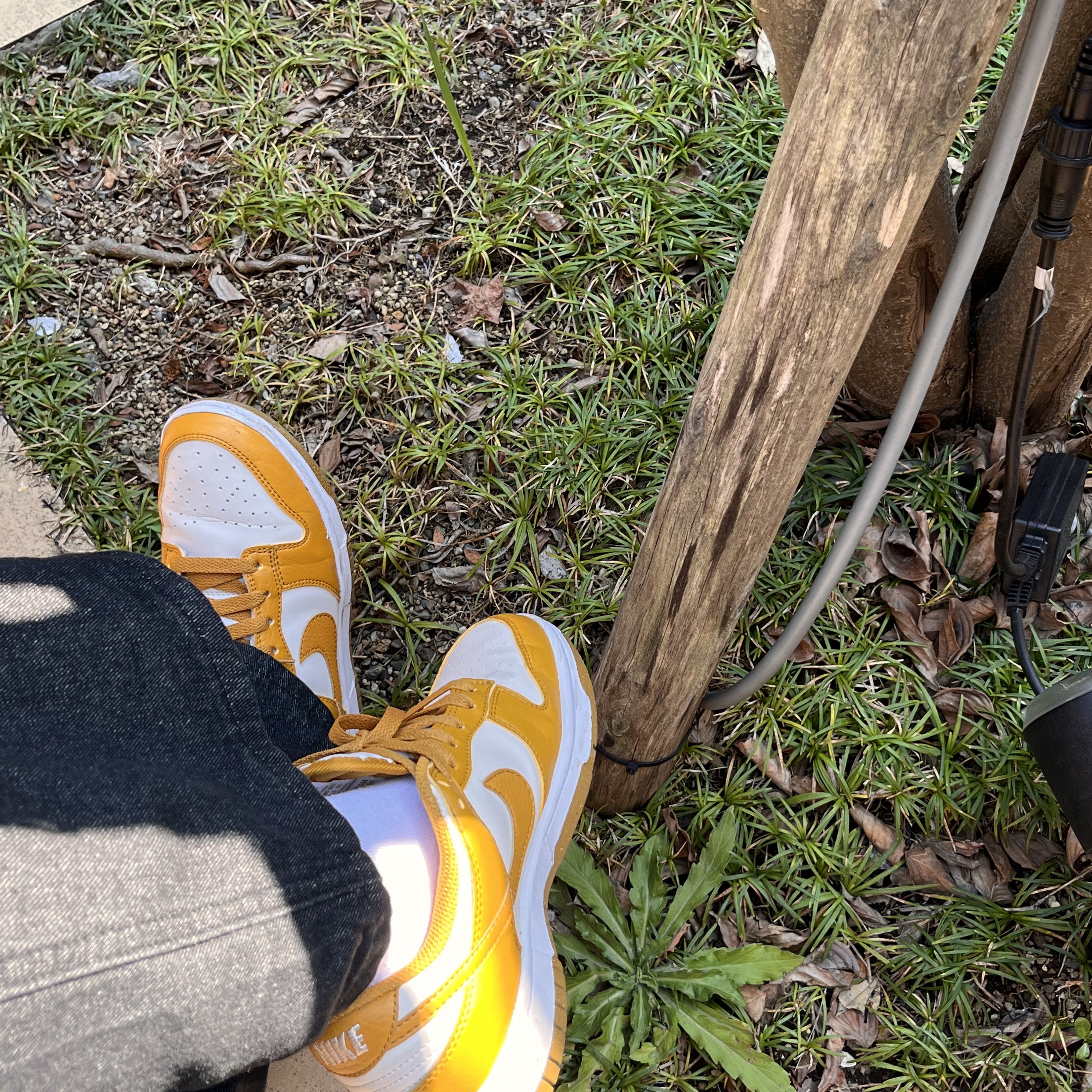 (W) Nike Dunk Low Next Nature Phantom 착용 스타일 - 1