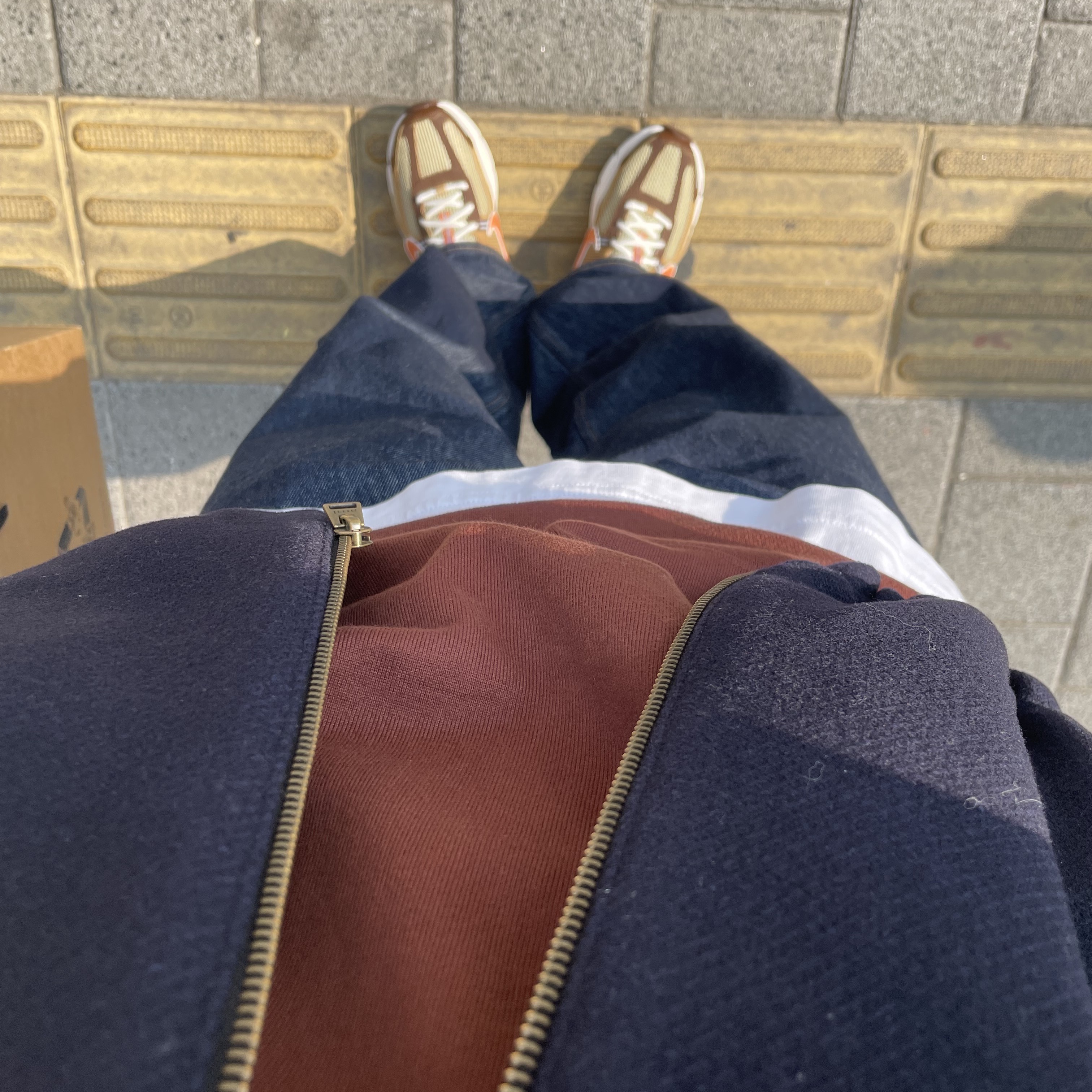 Nike Zoom Vomero 5 Wheat Grass and Cacao Wow 착용 스타일 - 2