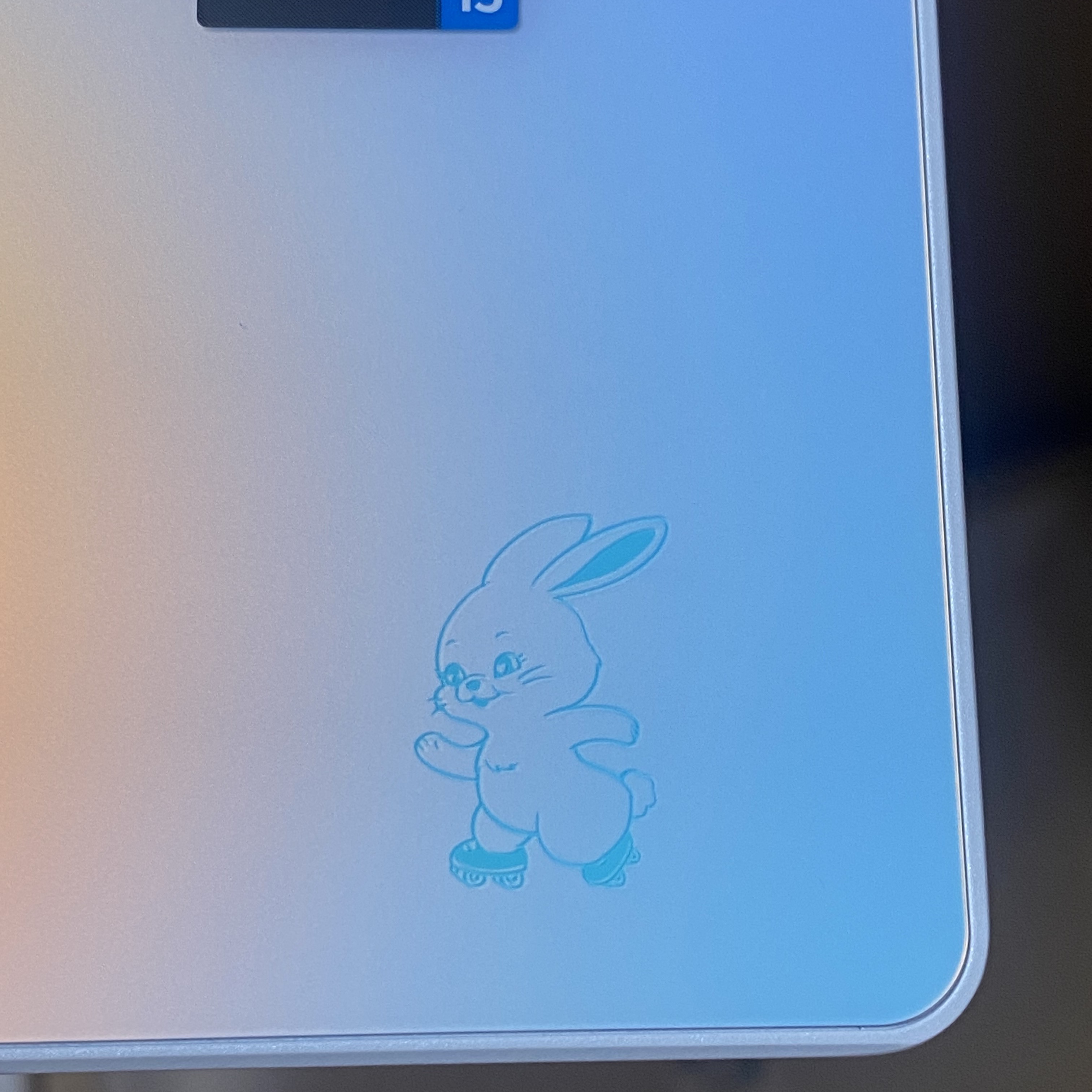 LG Gram Style NewJeans Limited Edition Mini Bunny i5-1340P 256GB SSD / 16GB Aurora White without Goods (Korean Ver.) 착용 스타일 - 3