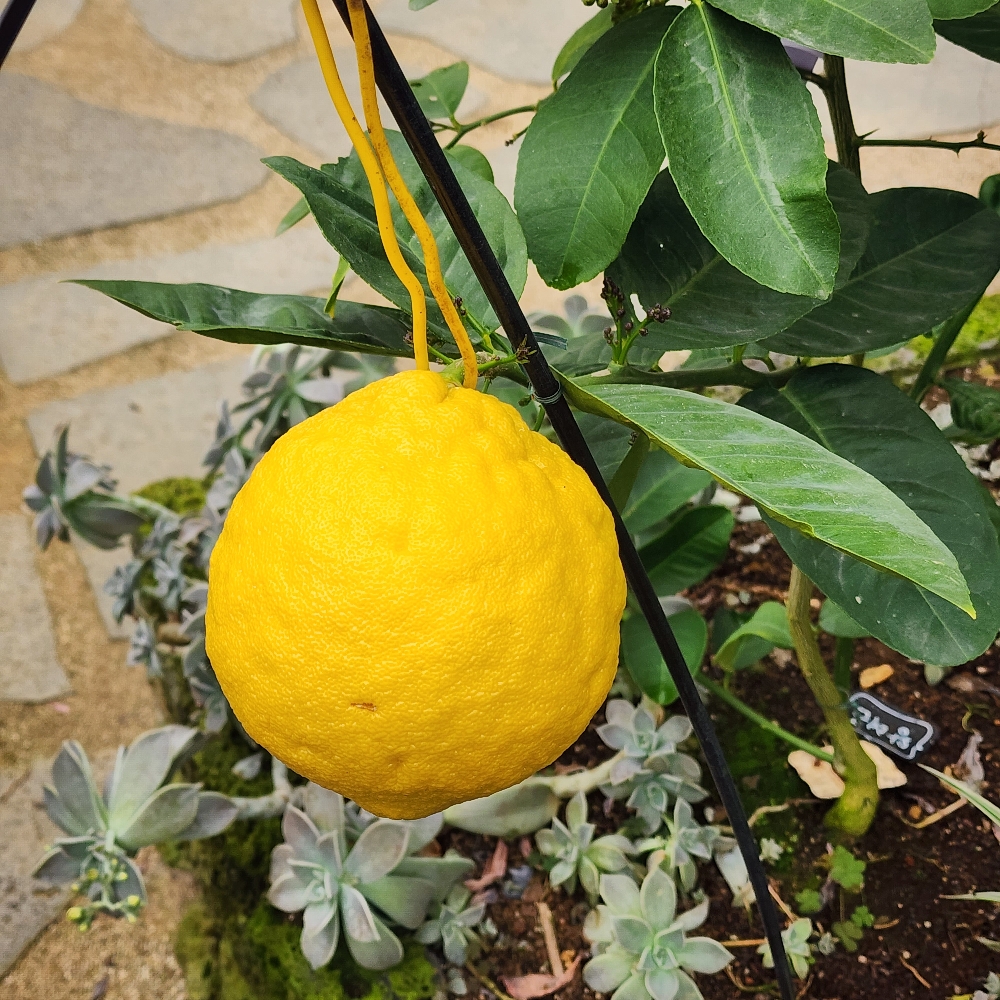 관심 유저 프로필 이미지
