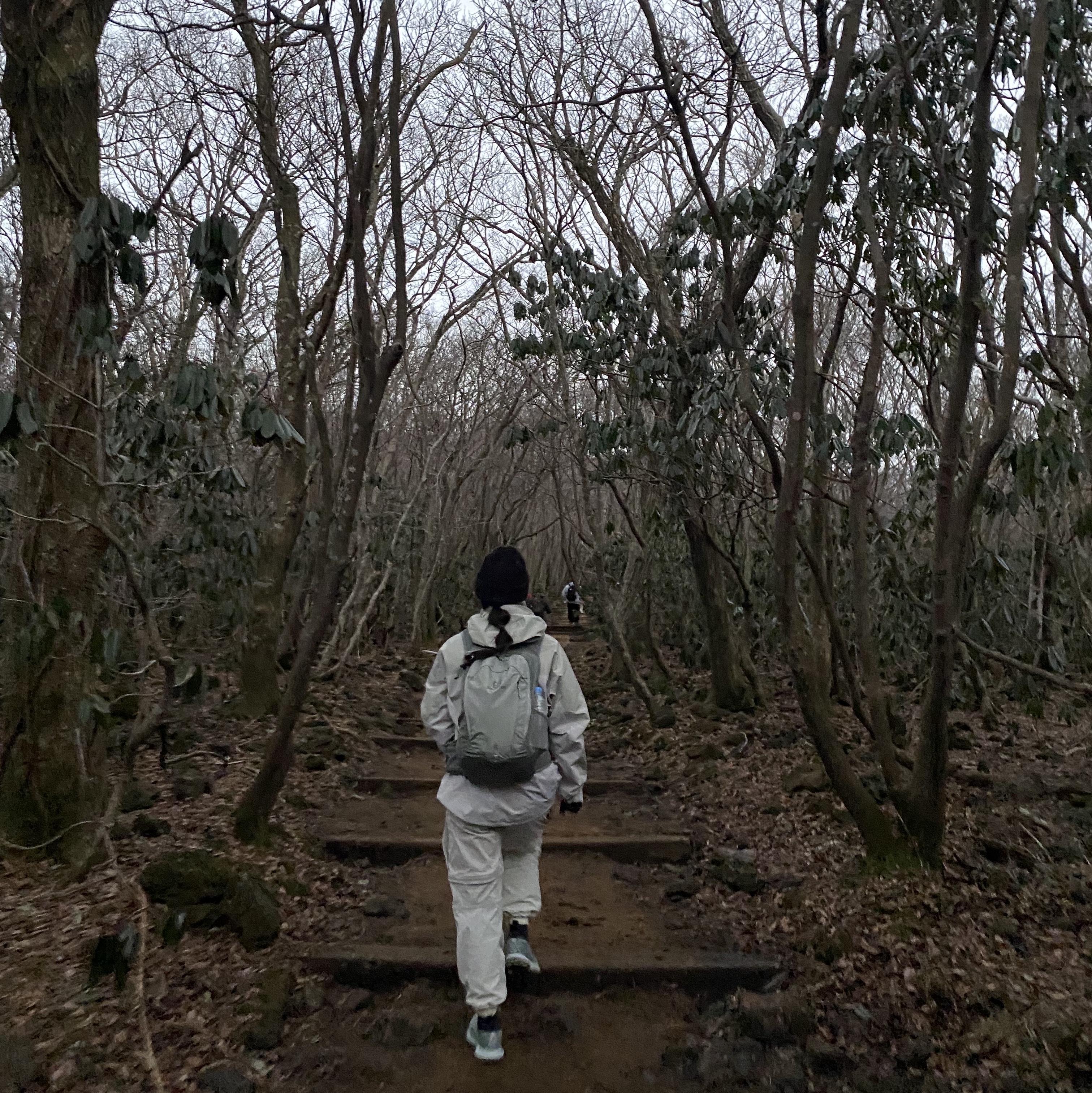 Nike ACG Storm-Fit ADV Chain of Craters Jacket Light Stone - Asia, Nike NRG ACG Cuffed Beanie Black 착용 스타일 - 2