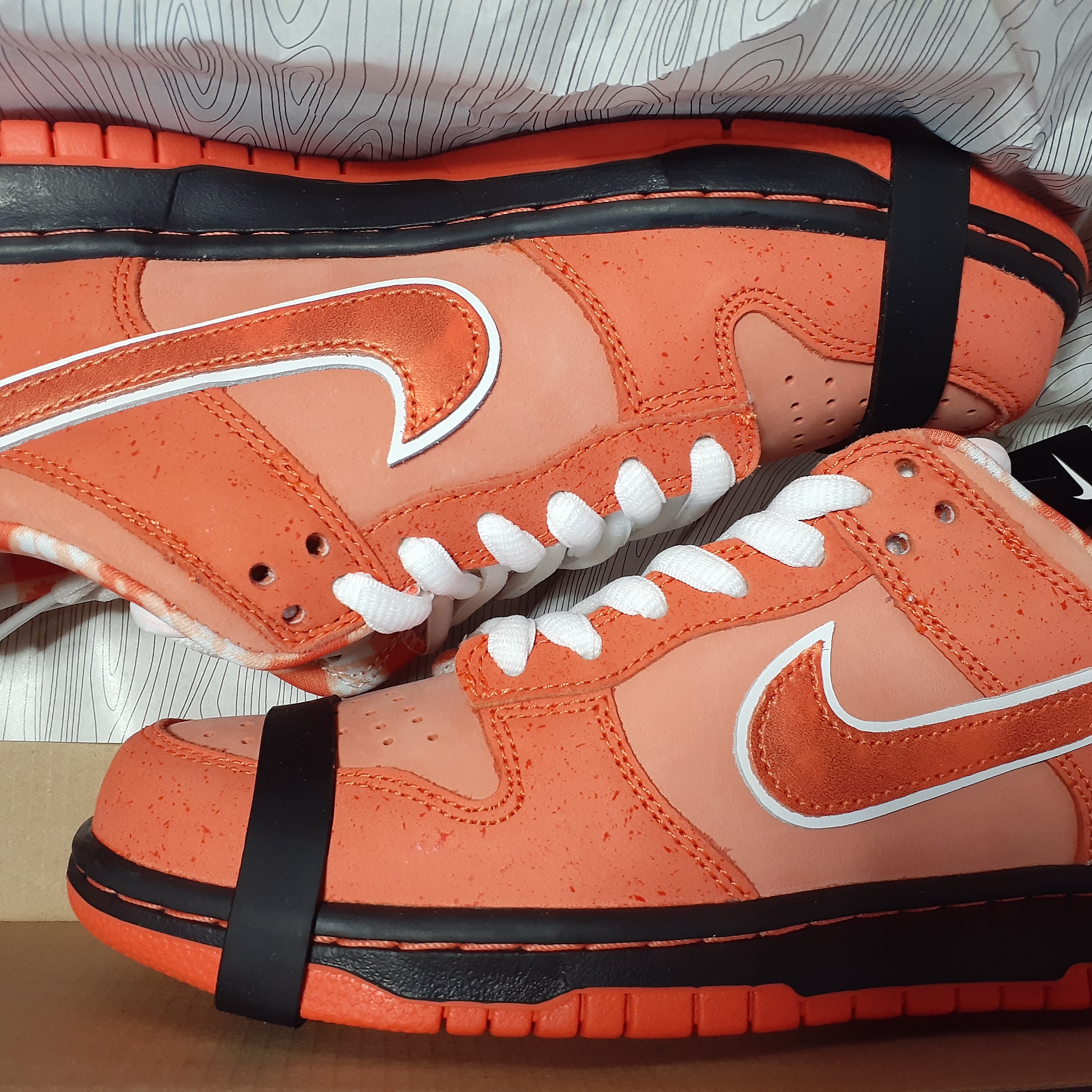 Nike x Concepts SB Dunk Low Orange Lobster (Regular Box) 착용 스타일 - 1