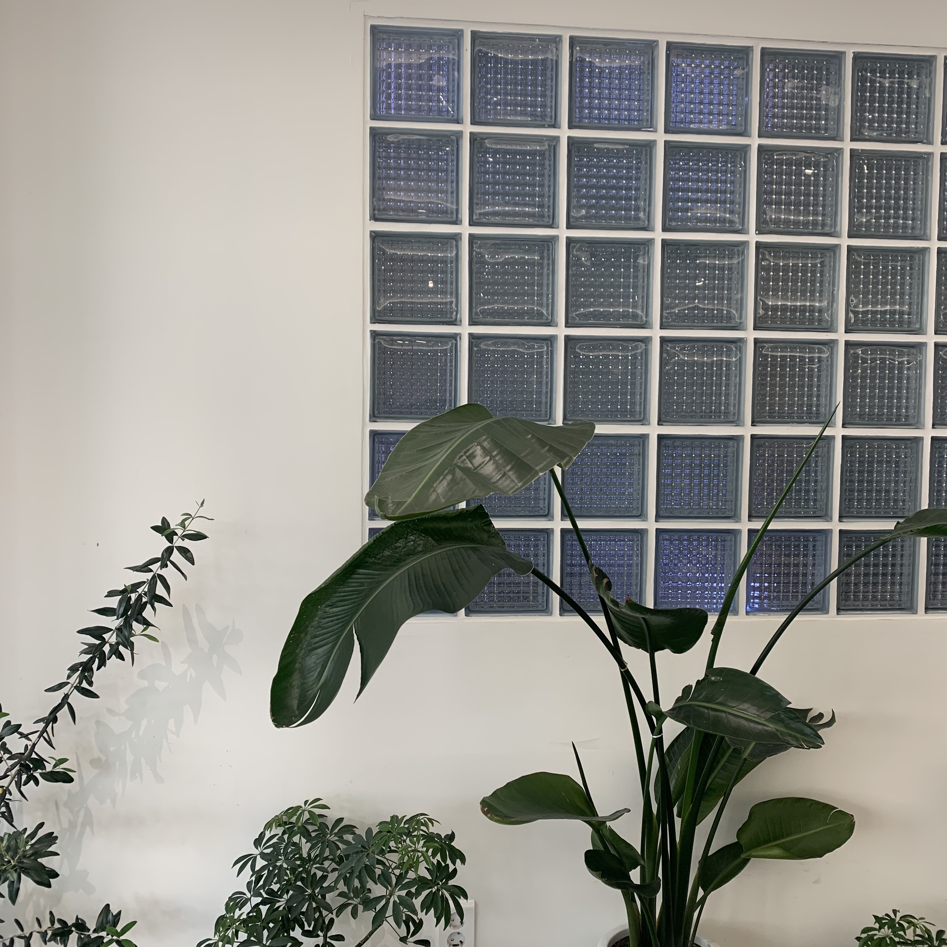 Chanel Gabrielle Large Hobo Bag Aged Calfskin & Gold Black, Maison Mihara Yasuhiro Peterson OG Sole Over Dyed Low-top Sneakers Black 착용 스타일 - 4