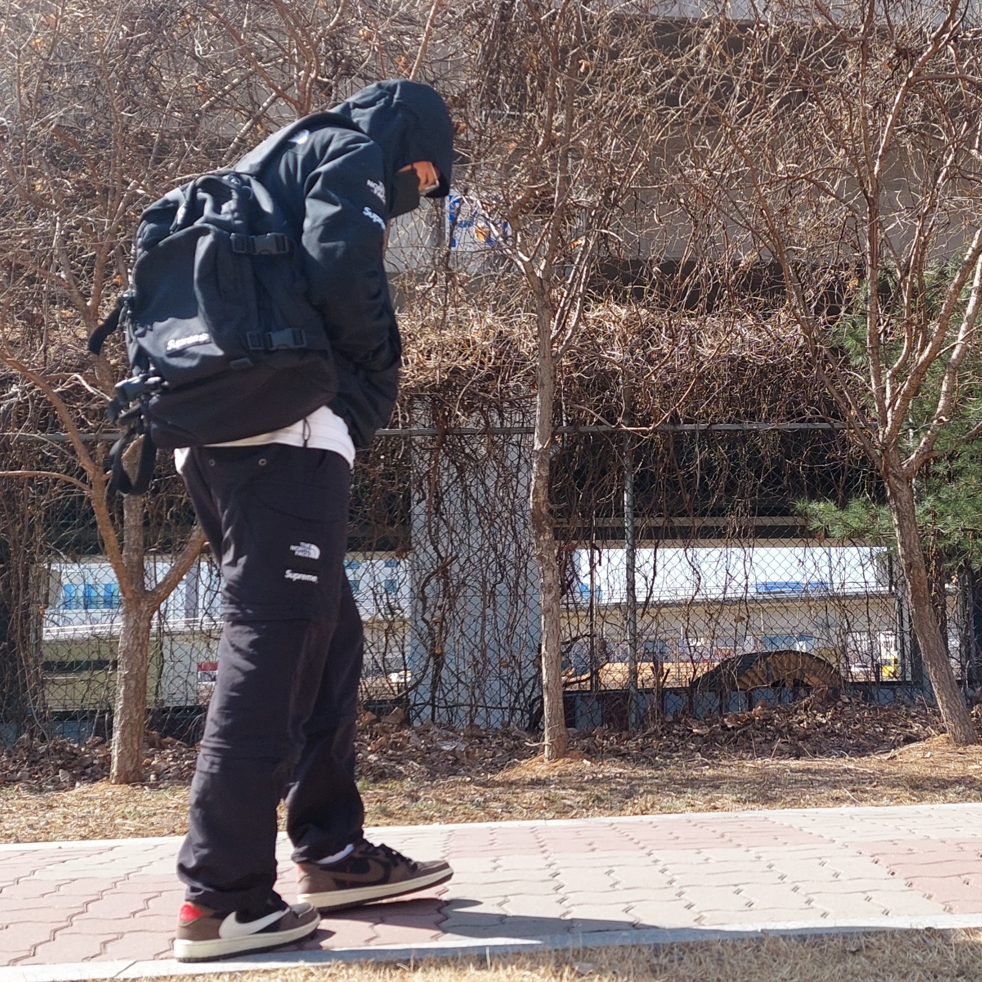 Supreme x The North Face Arc Logo Mountain Parka Black - 19SS, Human Made Rabbit L/S T-Shirt White 착용 스타일