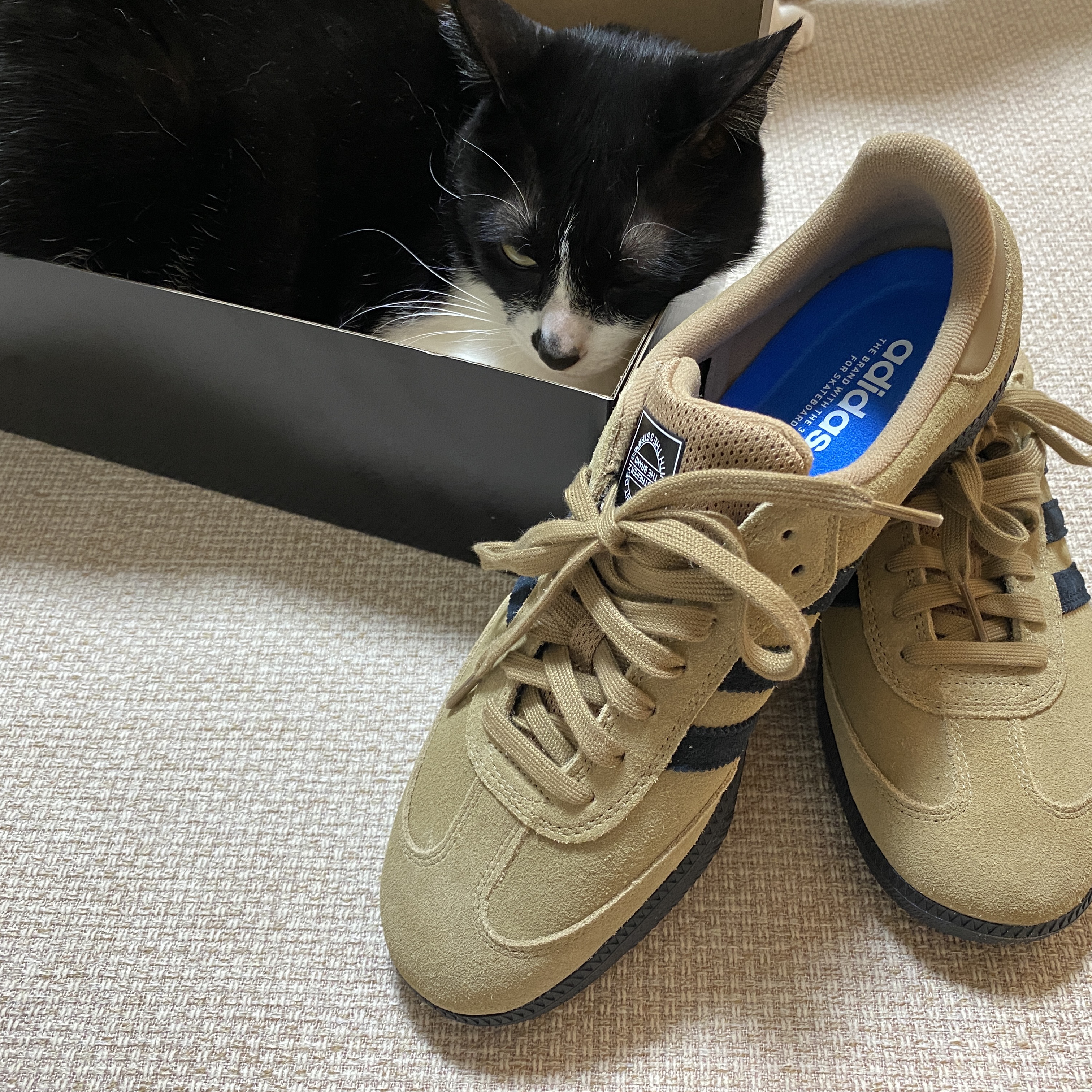 Adidas Samba ADV Cardboard 착용 스타일