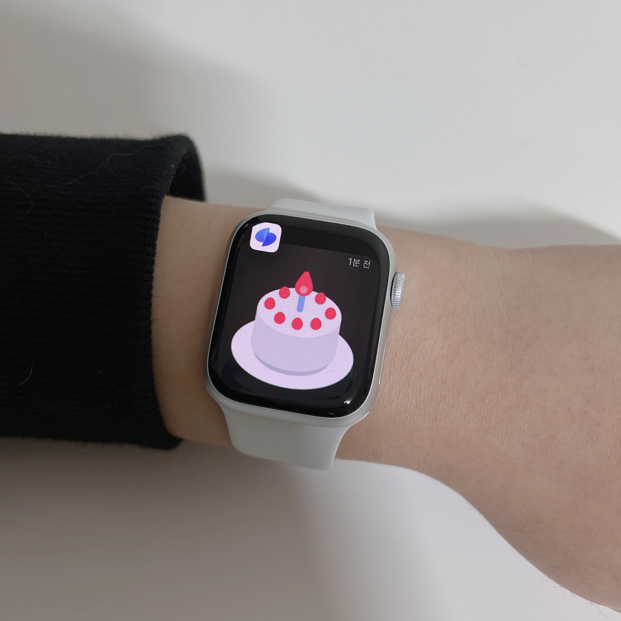Apple Watch Series 8 41mm GPS Silver Aluminium Case with Sport Band White (Korean Ver.) 착용 스타일