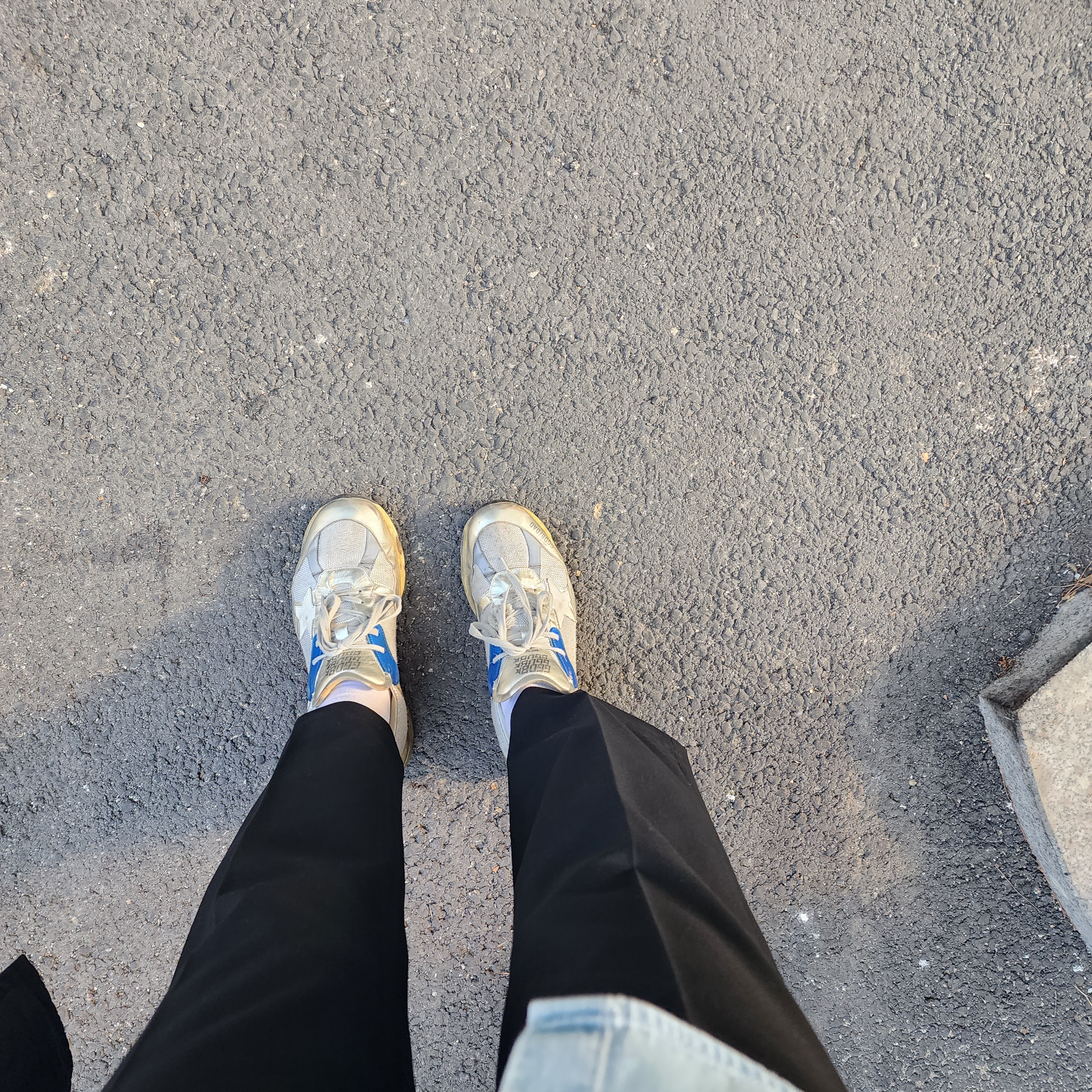 Golden Goose Silver Dad-Star Sneakers with Distressed Finish 착용 스타일