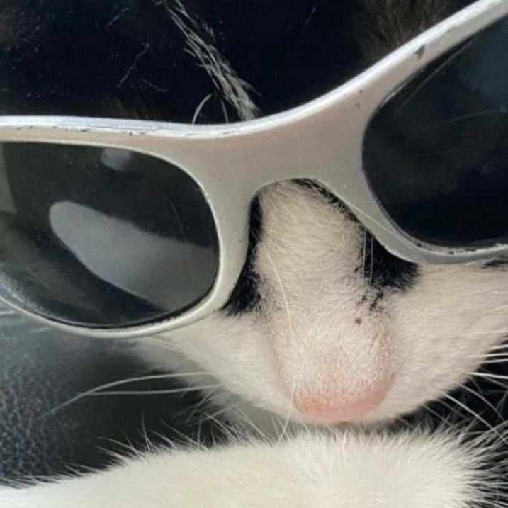 Balenciaga Swift Oval Sunglasses Silver, Balenciaga Swift Oval Sunglasses Black 착용 스타일 - 4