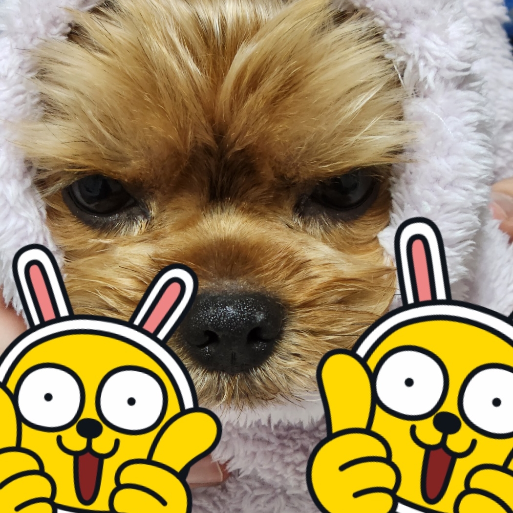 kdk658님의 스타일