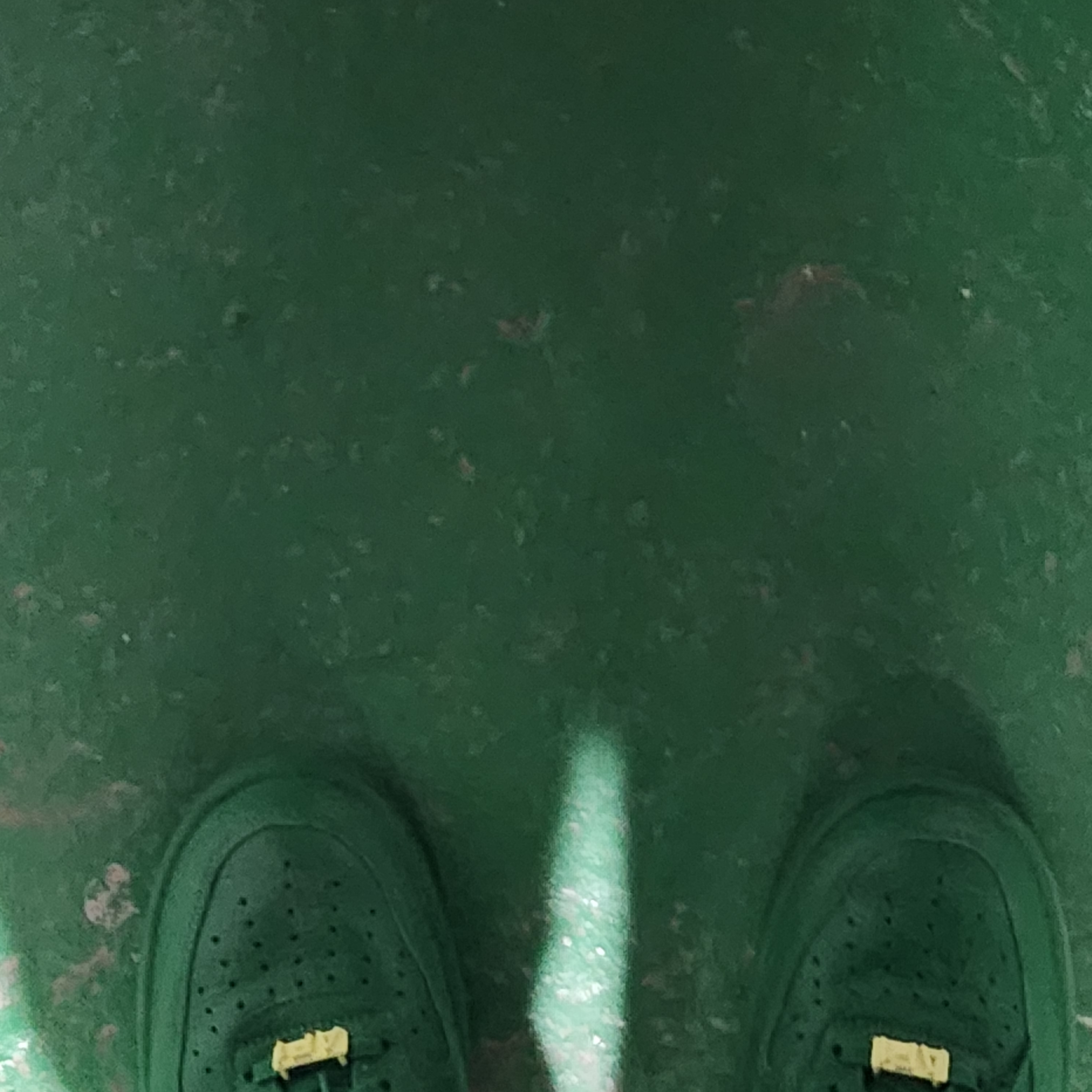 Nike x Ambush Air Force 1 Low SP Pine Green and Citron 착용 스타일