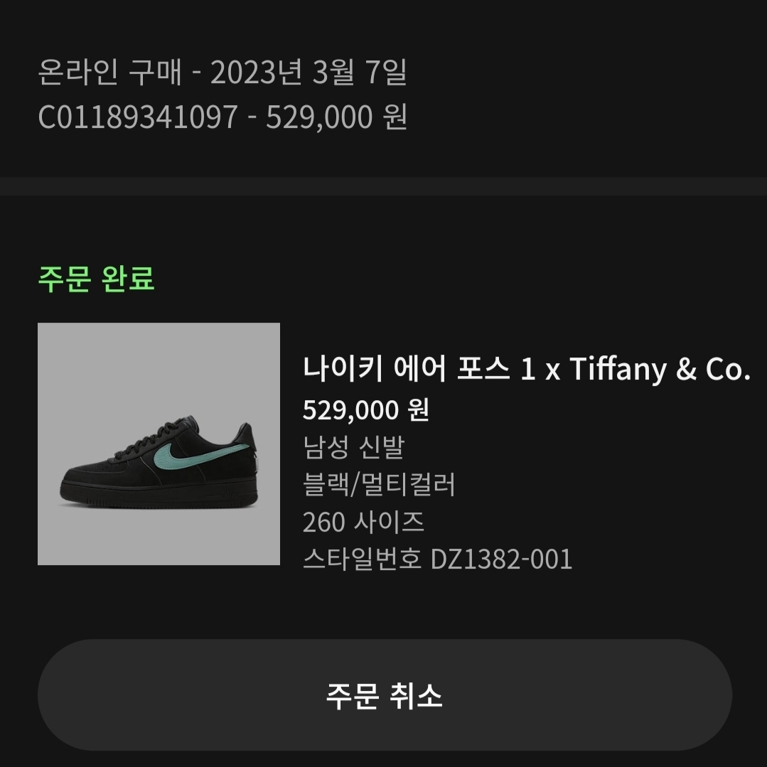 Nike x Tiffany & Co. Air Force 1 Low SP 1837 착용 스타일