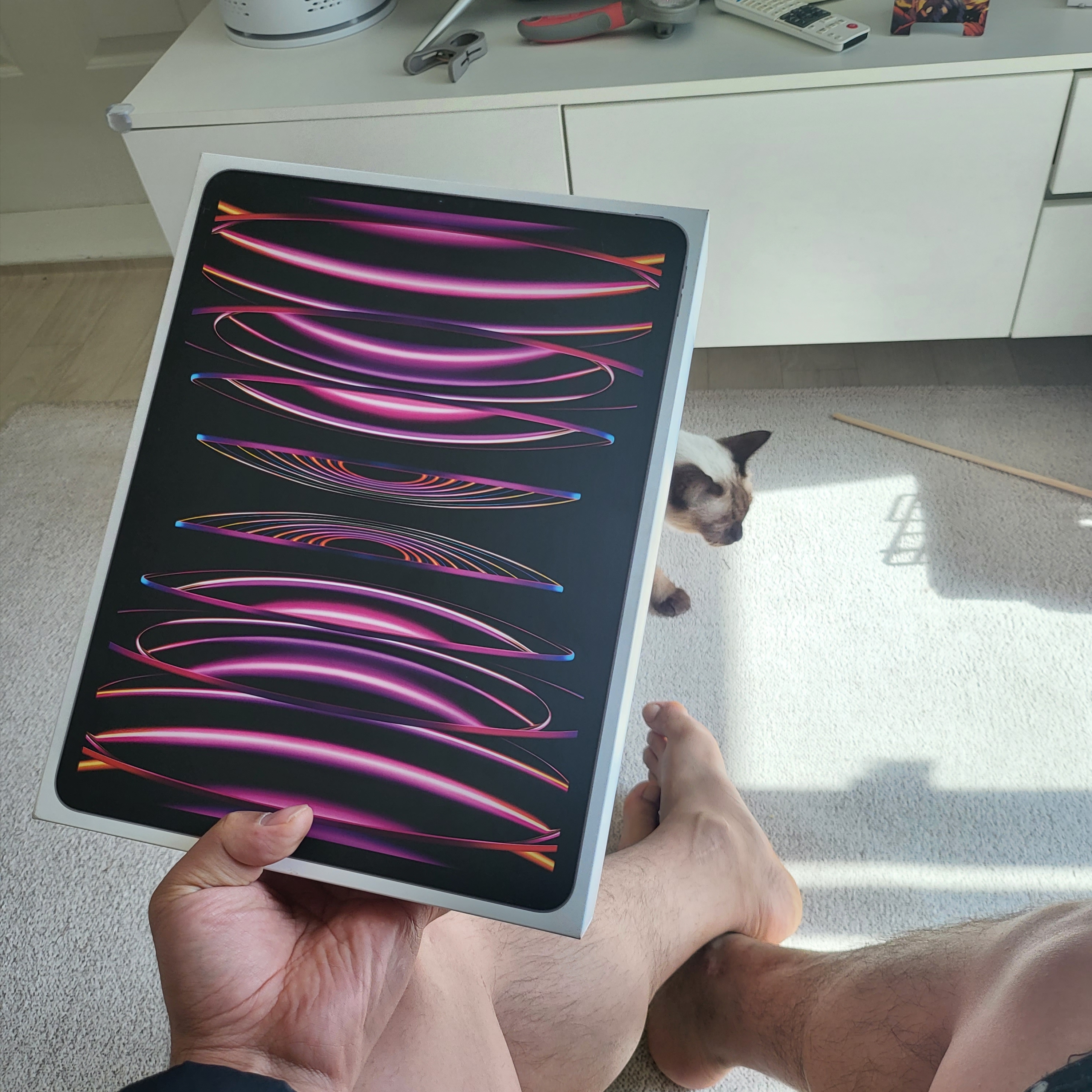 Apple iPad Pro 6th Gen 12.9-inch Wifi 128GB Space Gray (Korean Ver.) 착용 스타일
