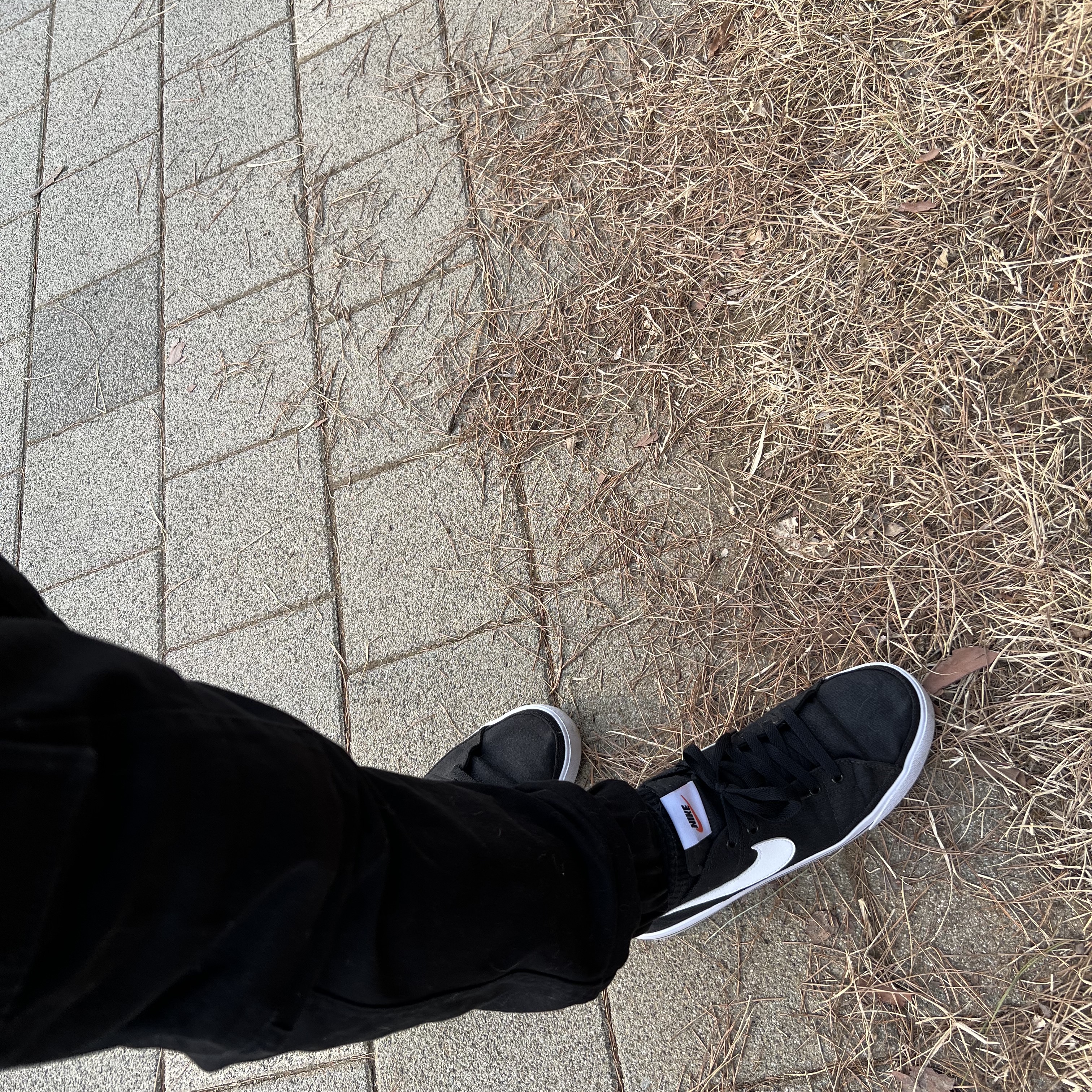 Nike Court Legacy Canvas Black White 착용 스타일