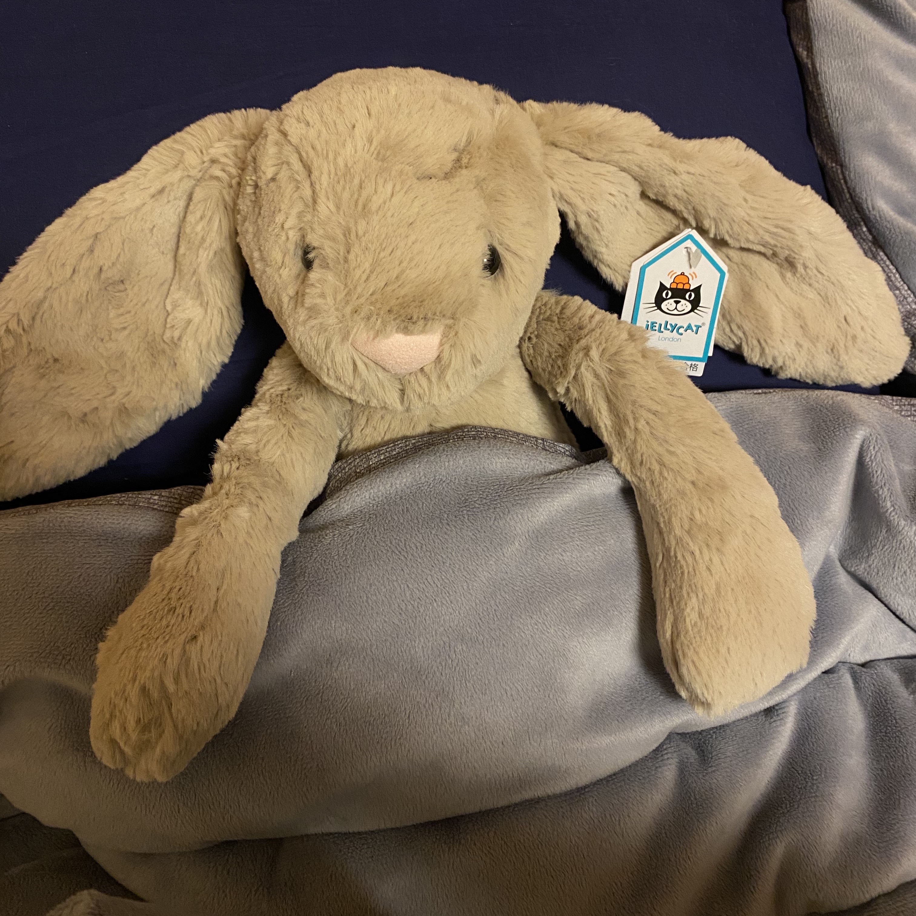 Jellycat Bashful Bunny Large Beige 착용 스타일