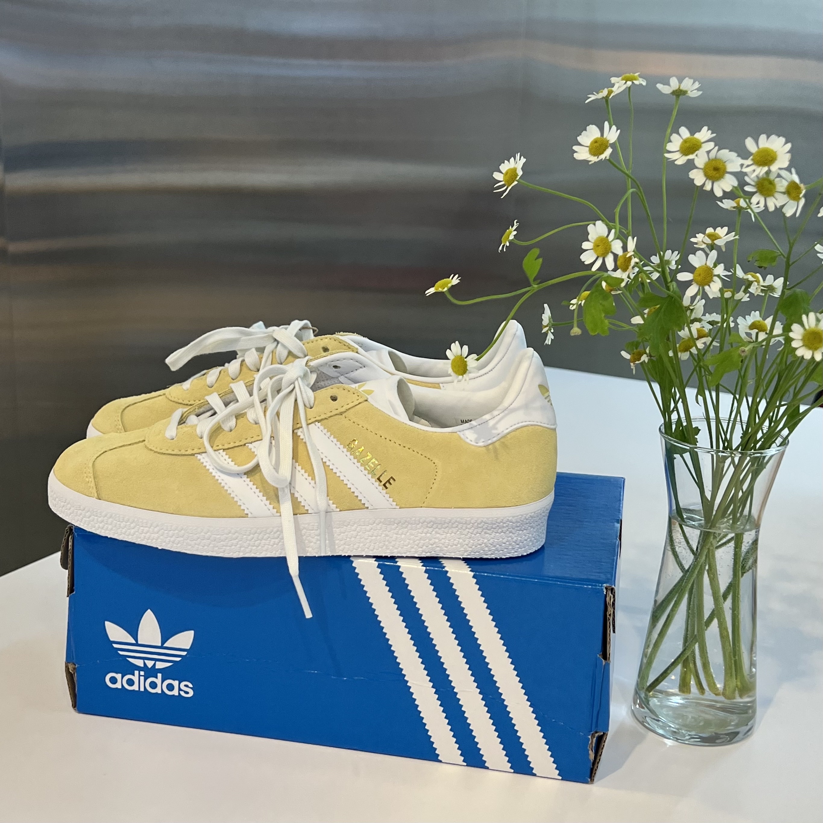 Adidas Gazelle Almost Yellow, Adidas x Andre Saraiva Superstar Cream White Core Black 착용 스타일 - 3