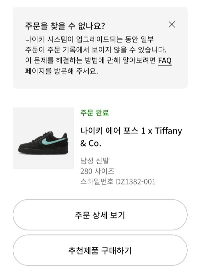 Nike x Tiffany & Co. Air Force 1 Low SP 1837 착용 스타일
