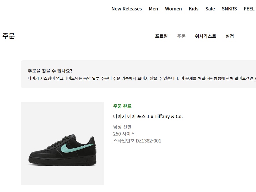 Nike x Tiffany & Co. Air Force 1 Low SP 1837 착용 스타일