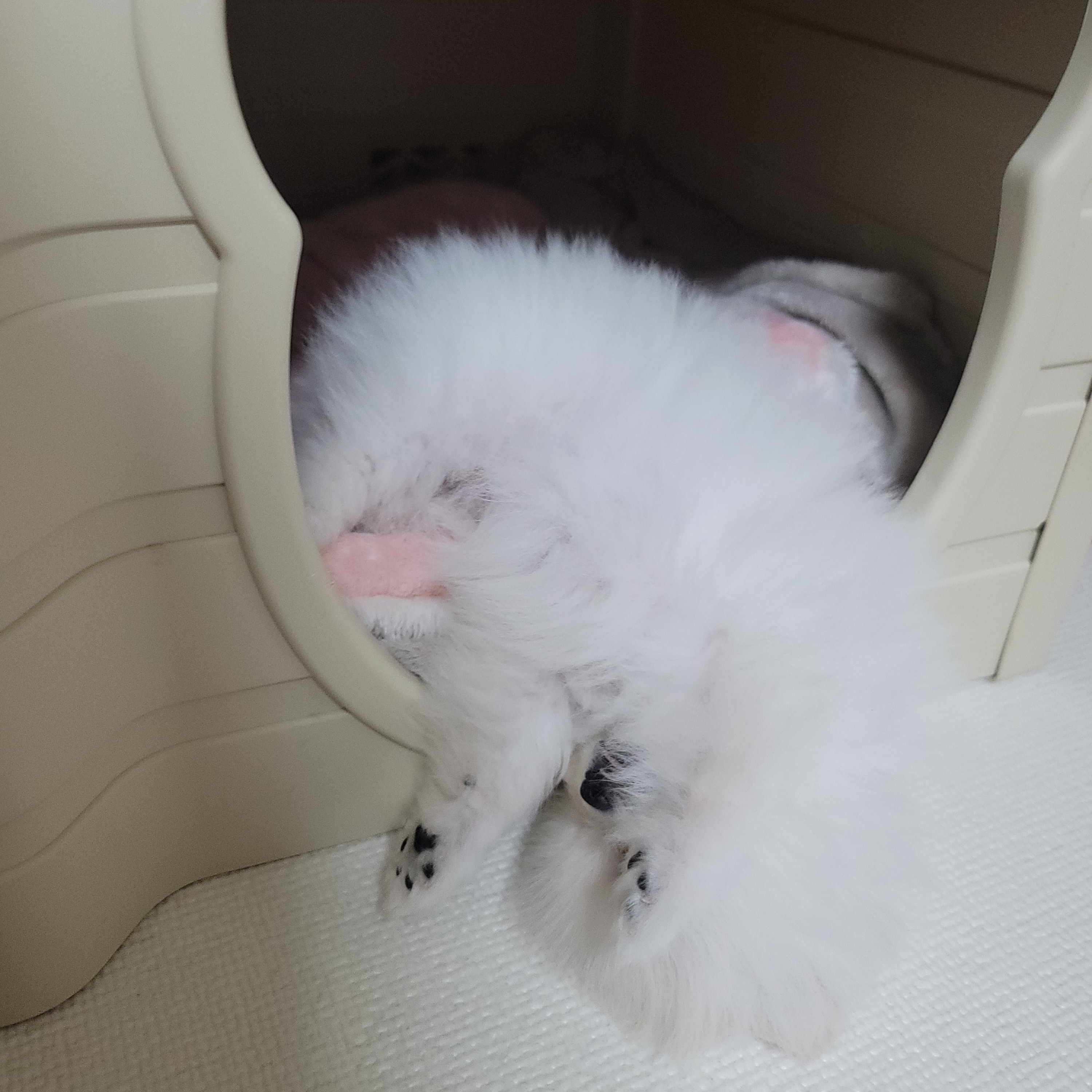 김성록님의 스타일 - 4