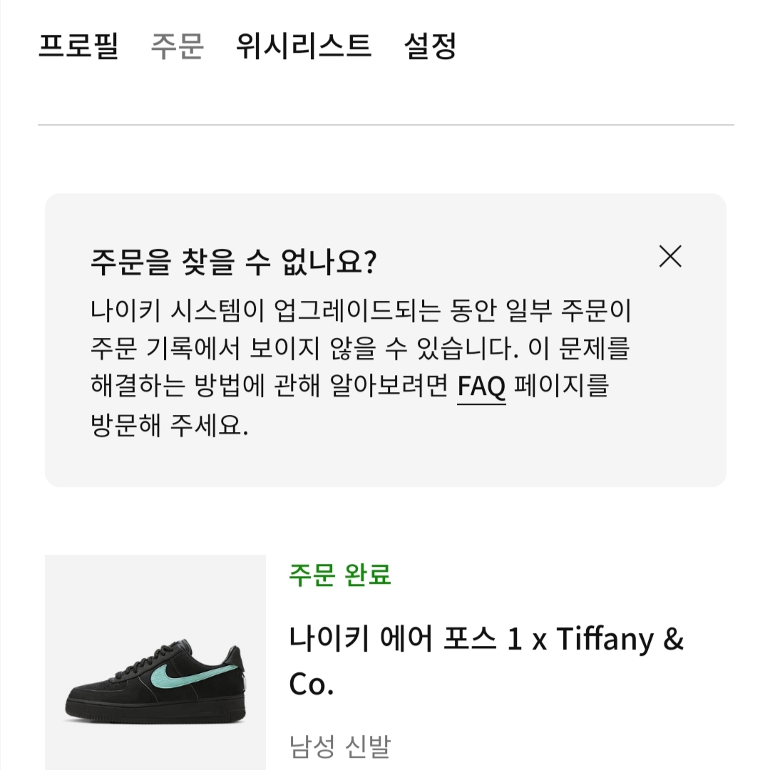 Nike x Tiffany & Co. Air Force 1 Low SP 1837 착용 스타일
