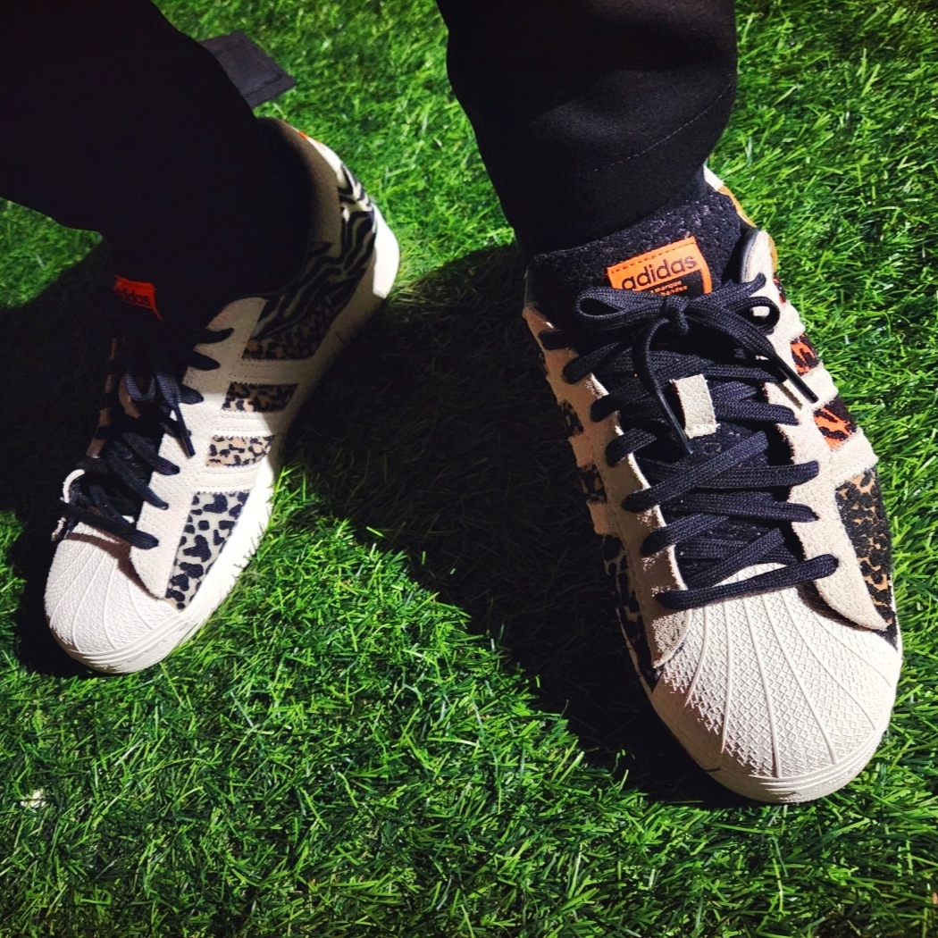 Adidas x Atmos Superstar Crazy Animal 착용 스타일 - 4