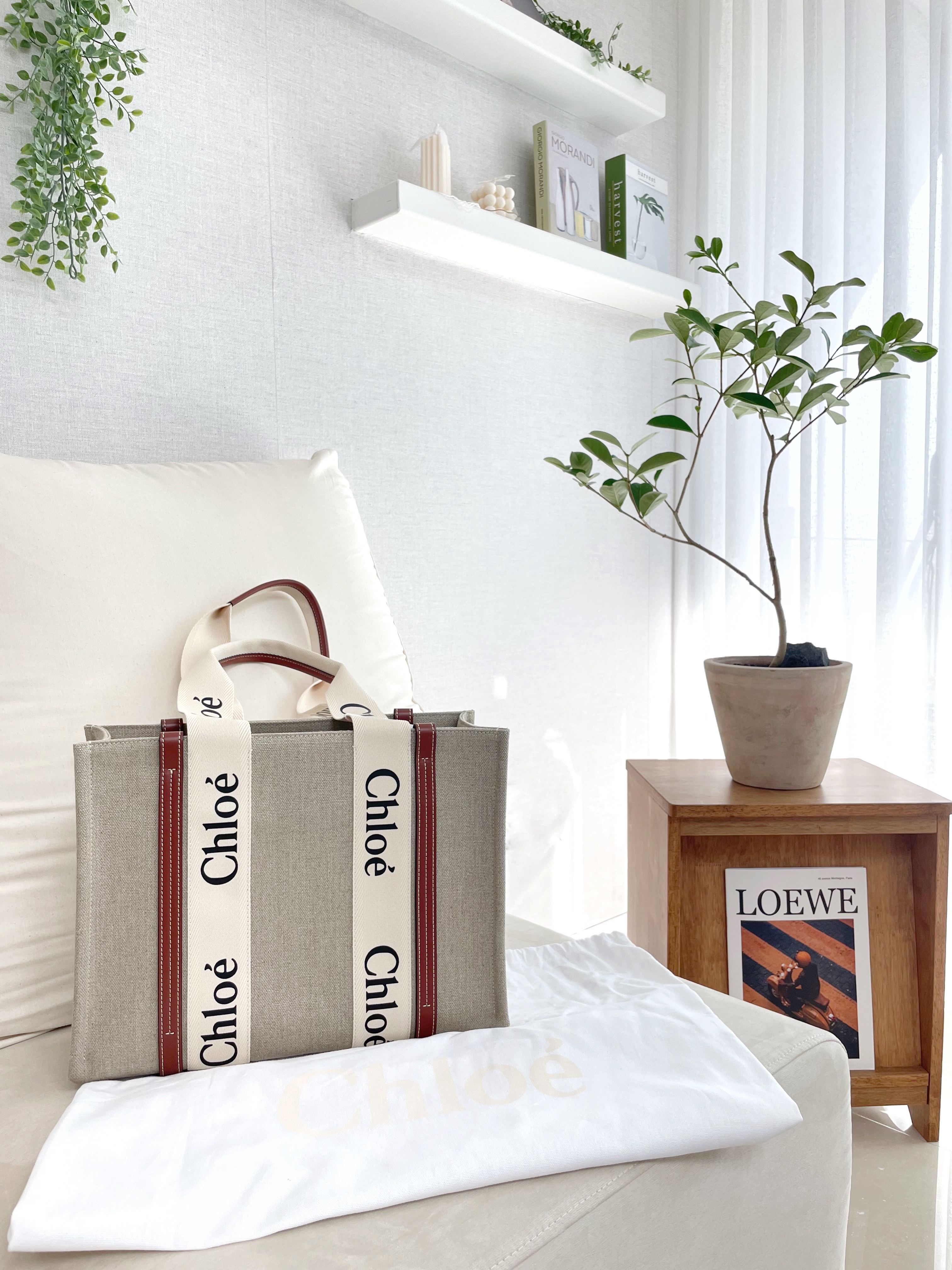 Chloe Woody Medium Tote Bag White Brown 착용 스타일