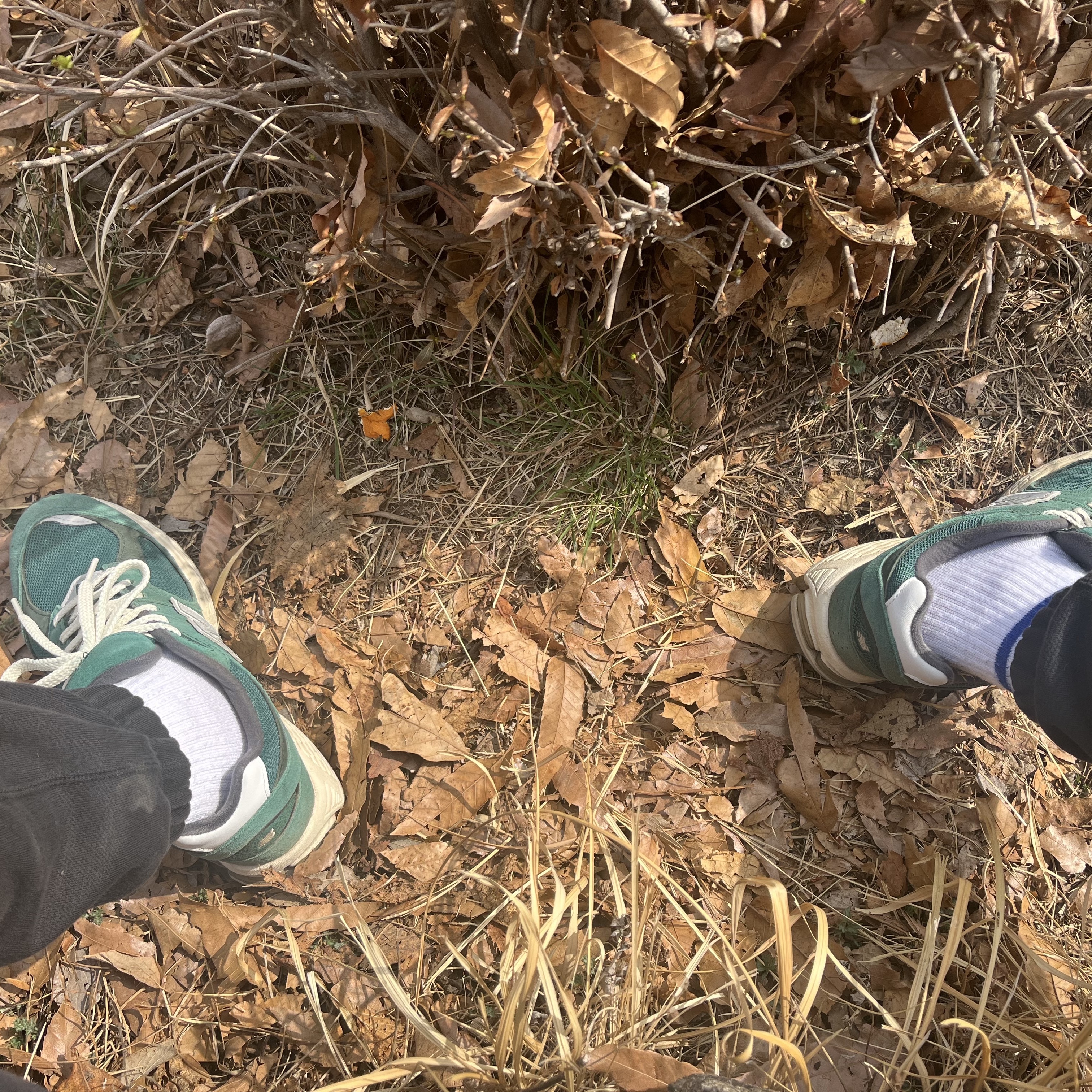 New Balance 2002R Nightwatch Green 착용 스타일 - 3