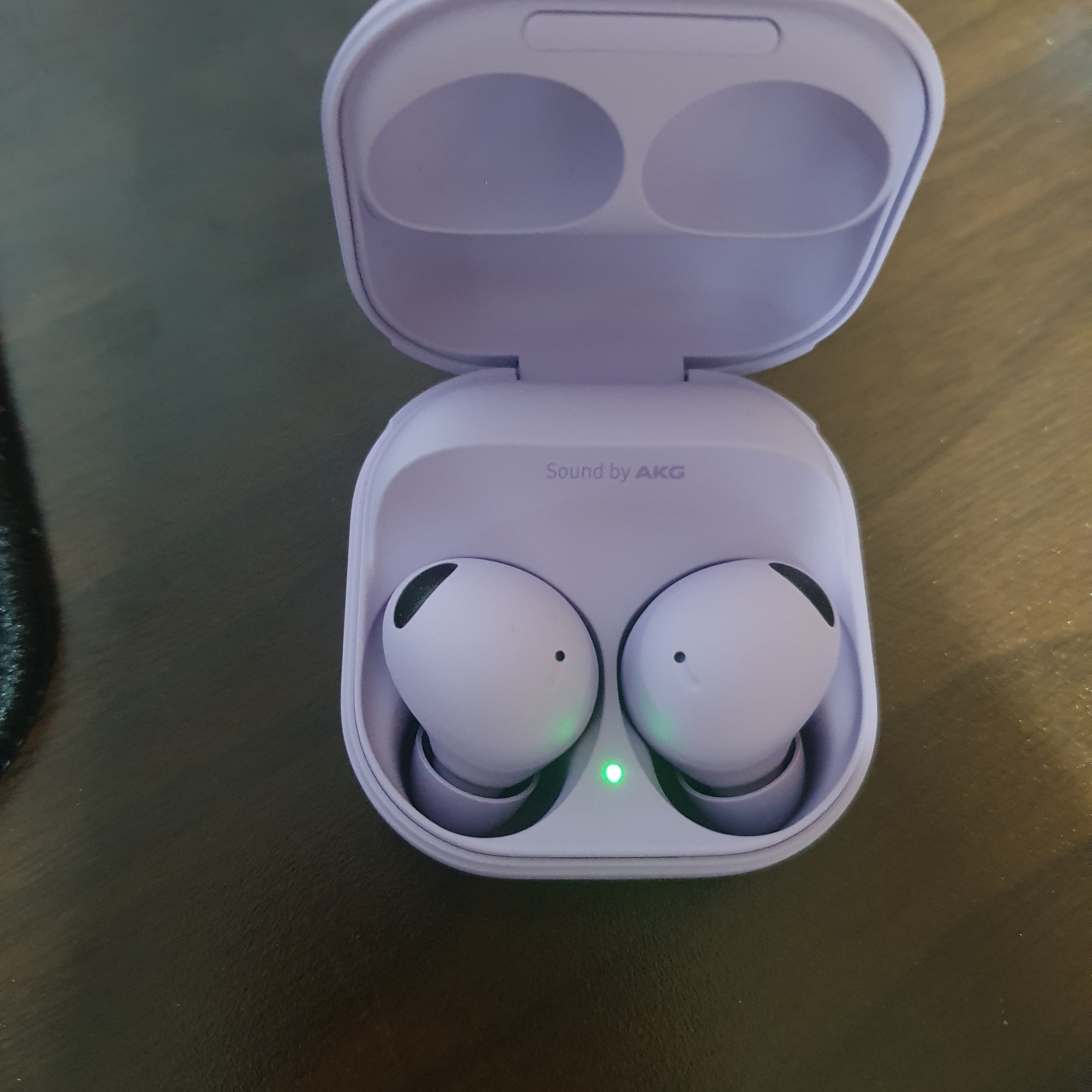 Samsung Galaxy Buds2 Pro Purple (Korean Ver.) 착용 스타일