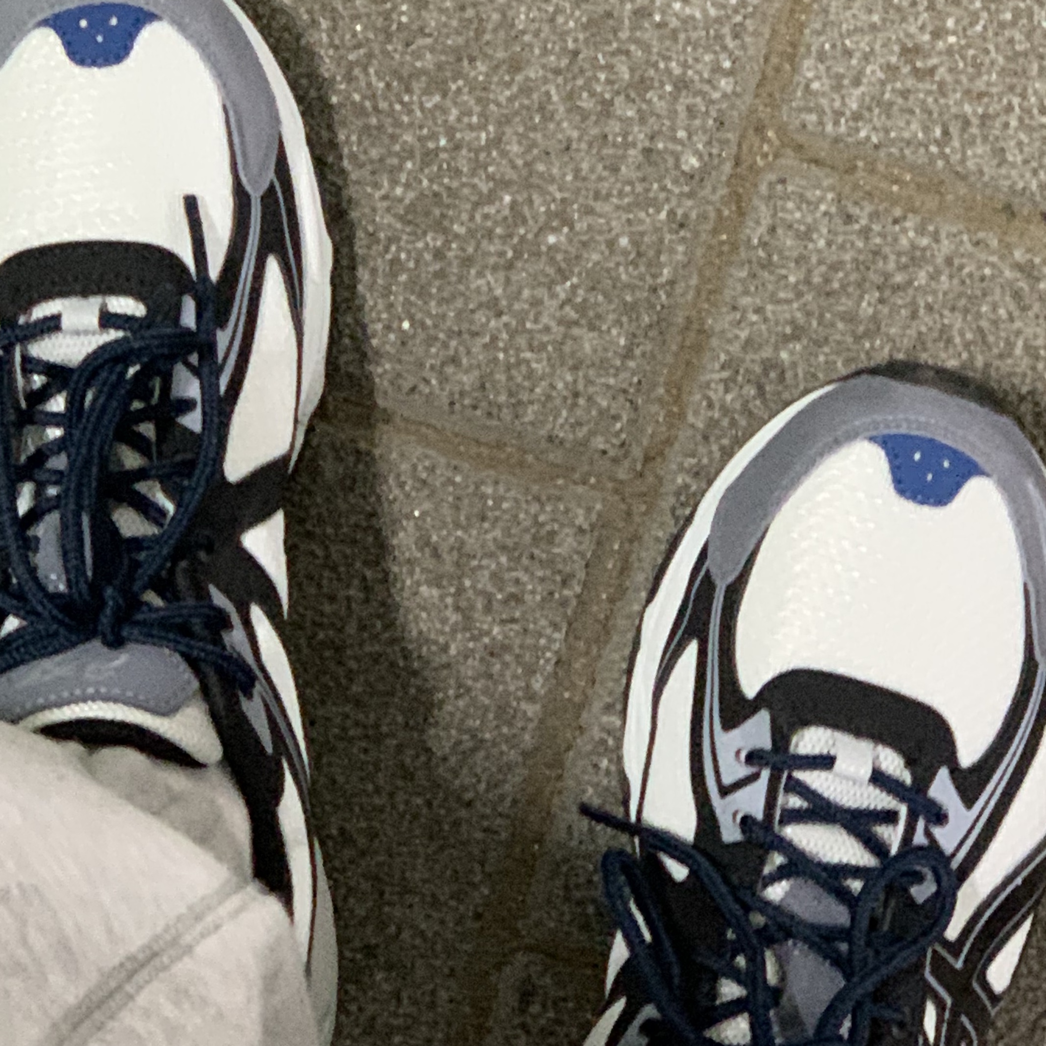Asics Gel-Venture 6 SPS Glacier Grey 착용 스타일 - 2
