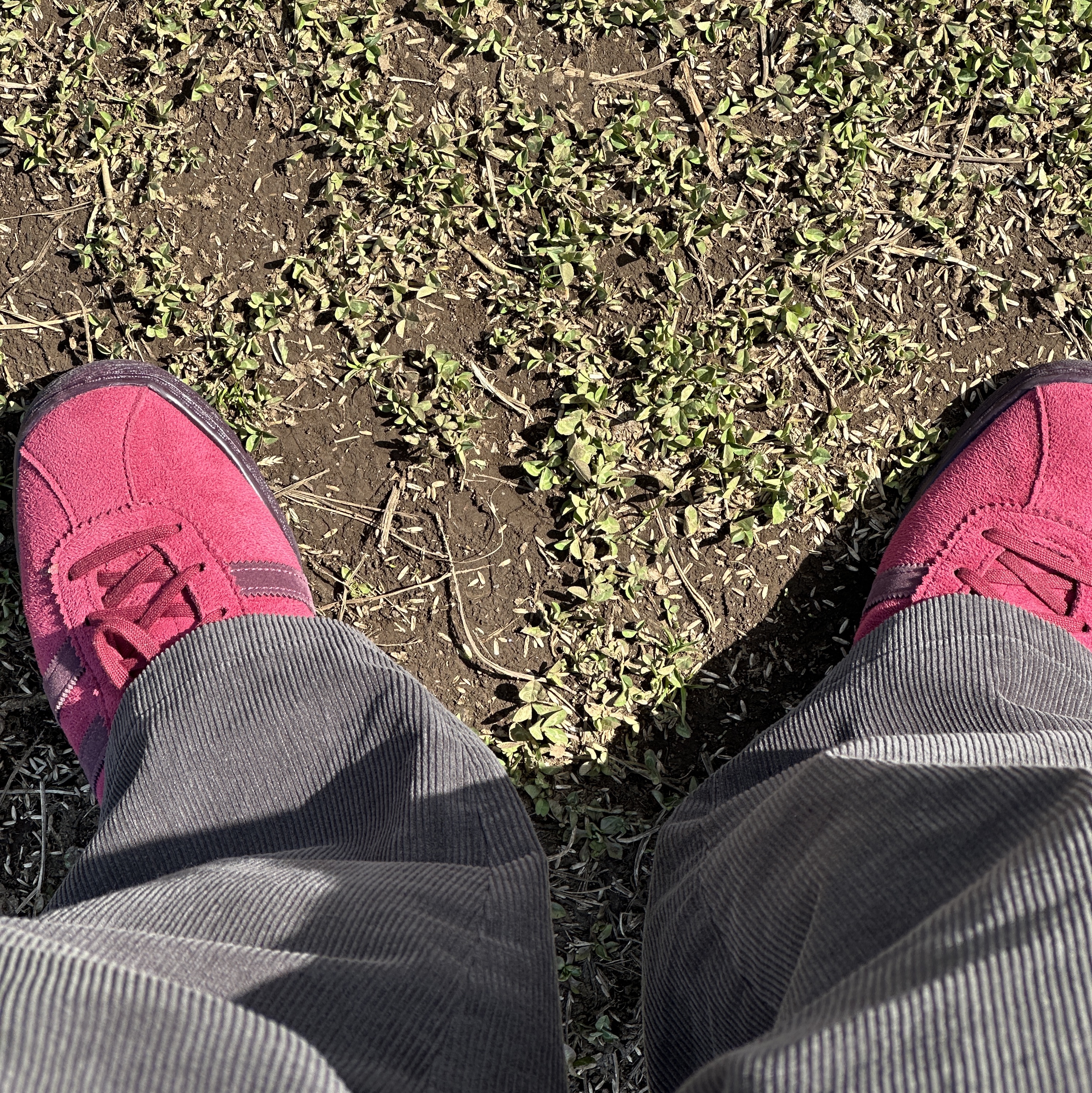 Adidas Tobacco Gruen Collegiate Burgundy 착용 스타일