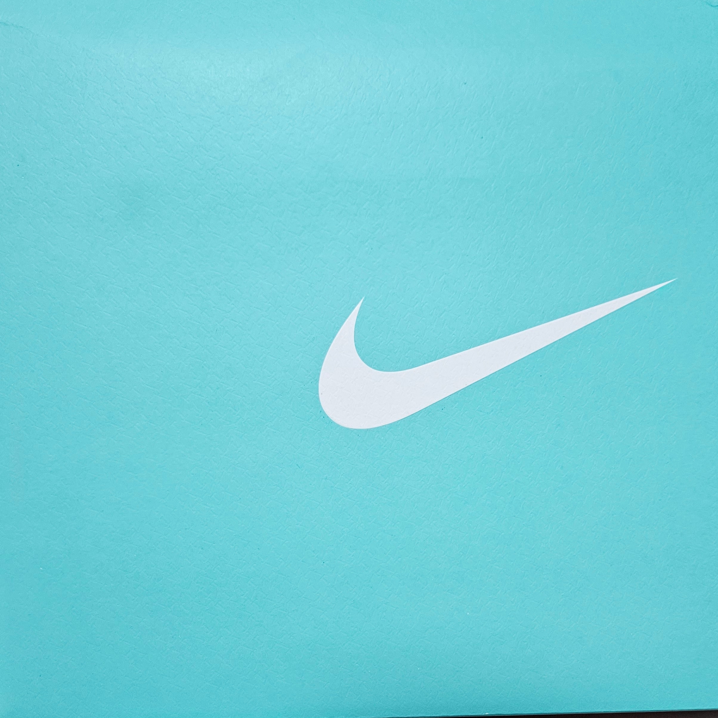Nike x Tiffany & Co. Air Force 1 Low SP 1837 착용 스타일 - 1
