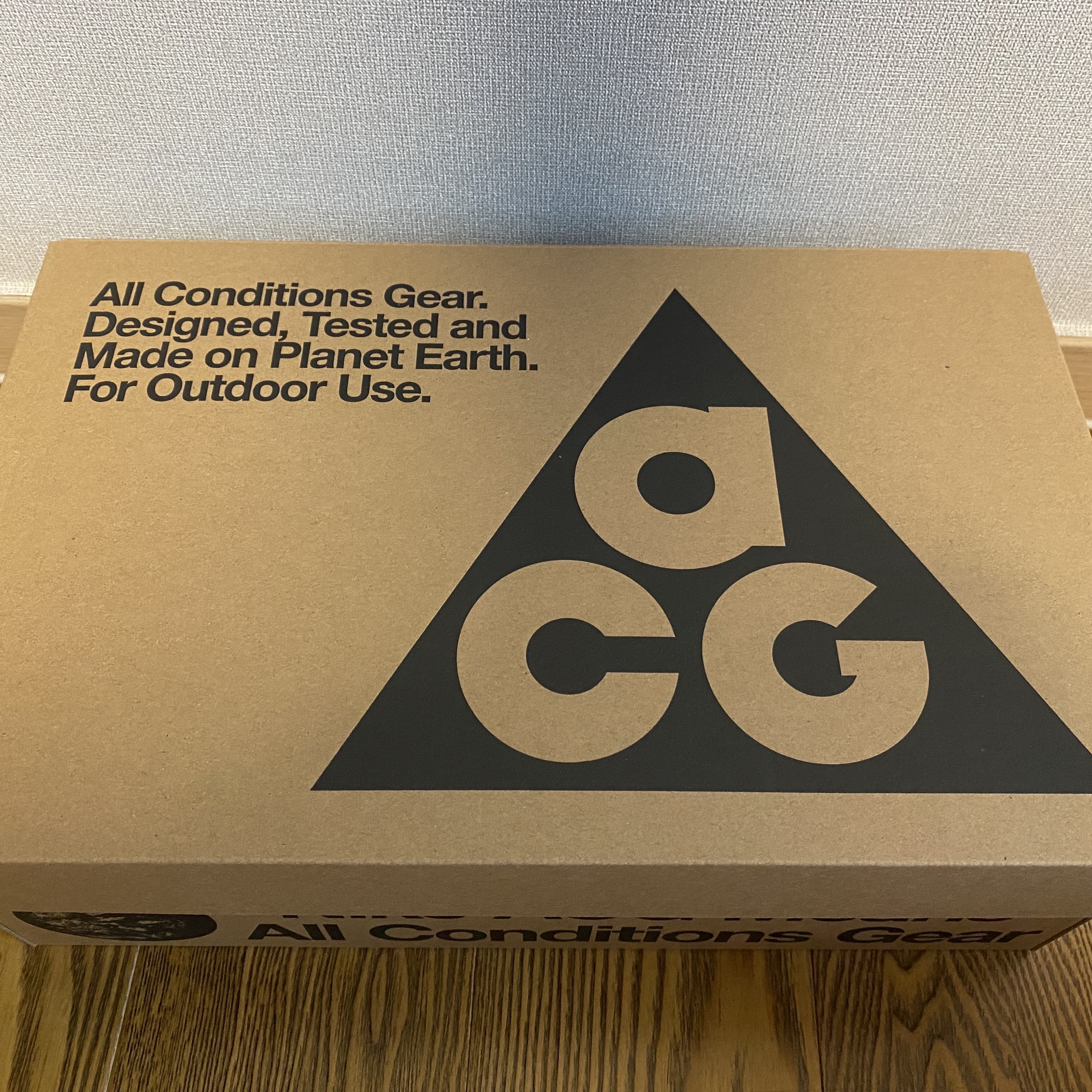 Nike ACG Mountain Fly Low Gore-Tex SE Dark Smoke Grey 착용 스타일 - 1