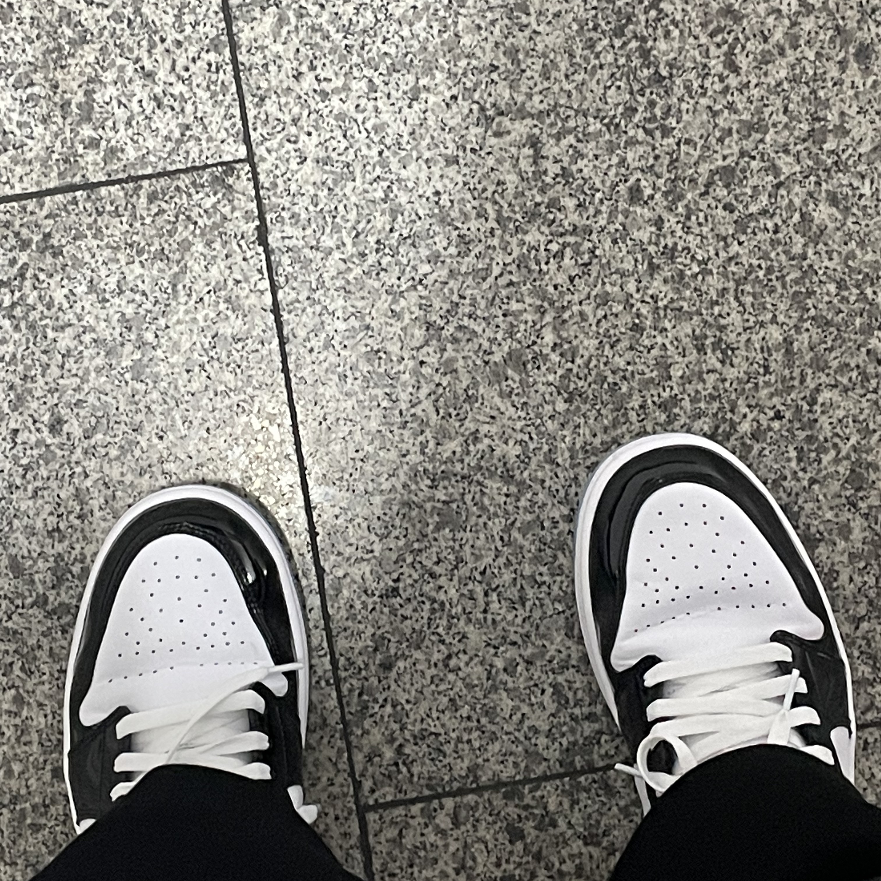 Jordan 1 Low SE Concord 착용 스타일
