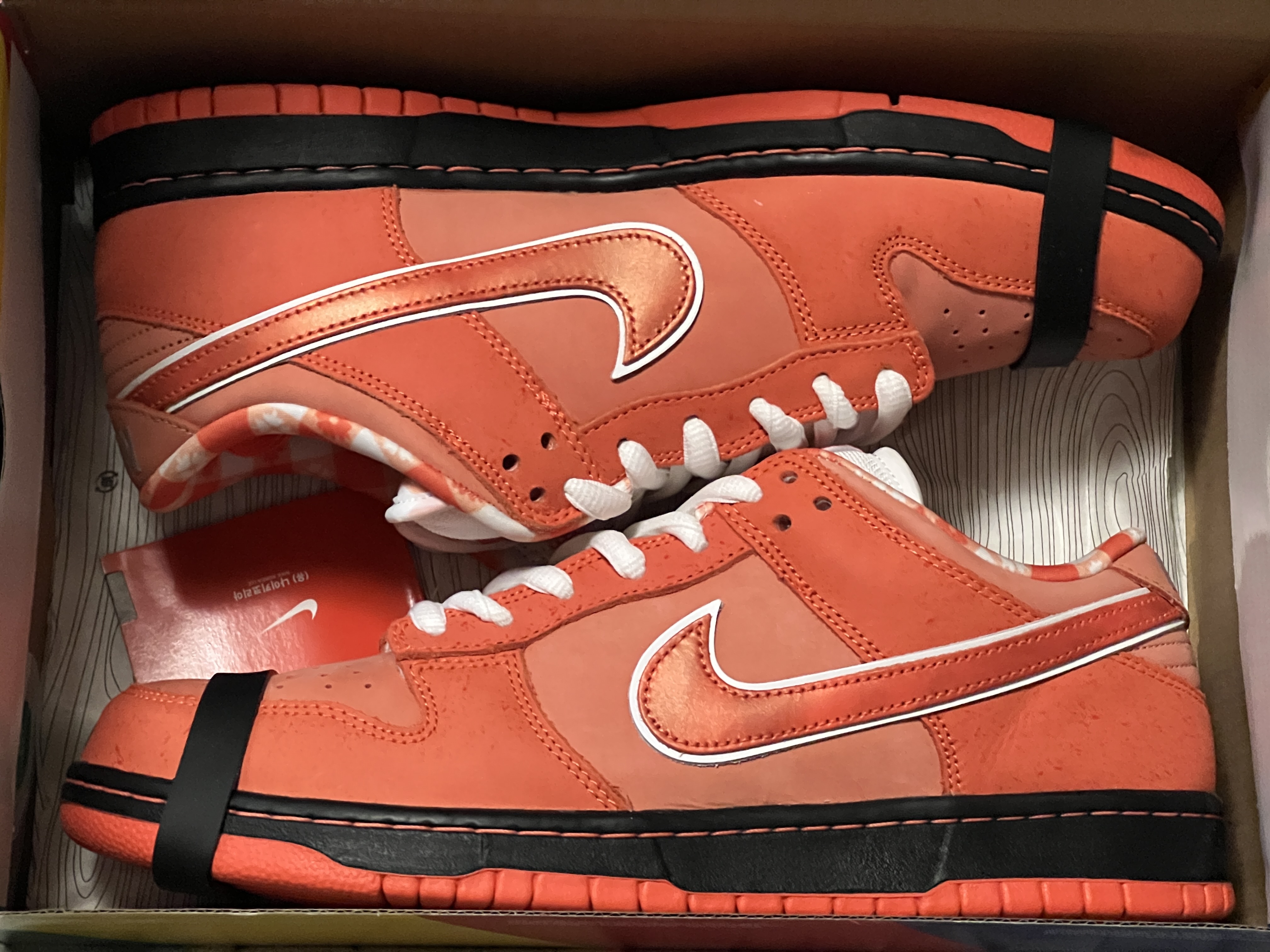 Nike x Concepts SB Dunk Low Orange Lobster (Regular Box) 착용 스타일
