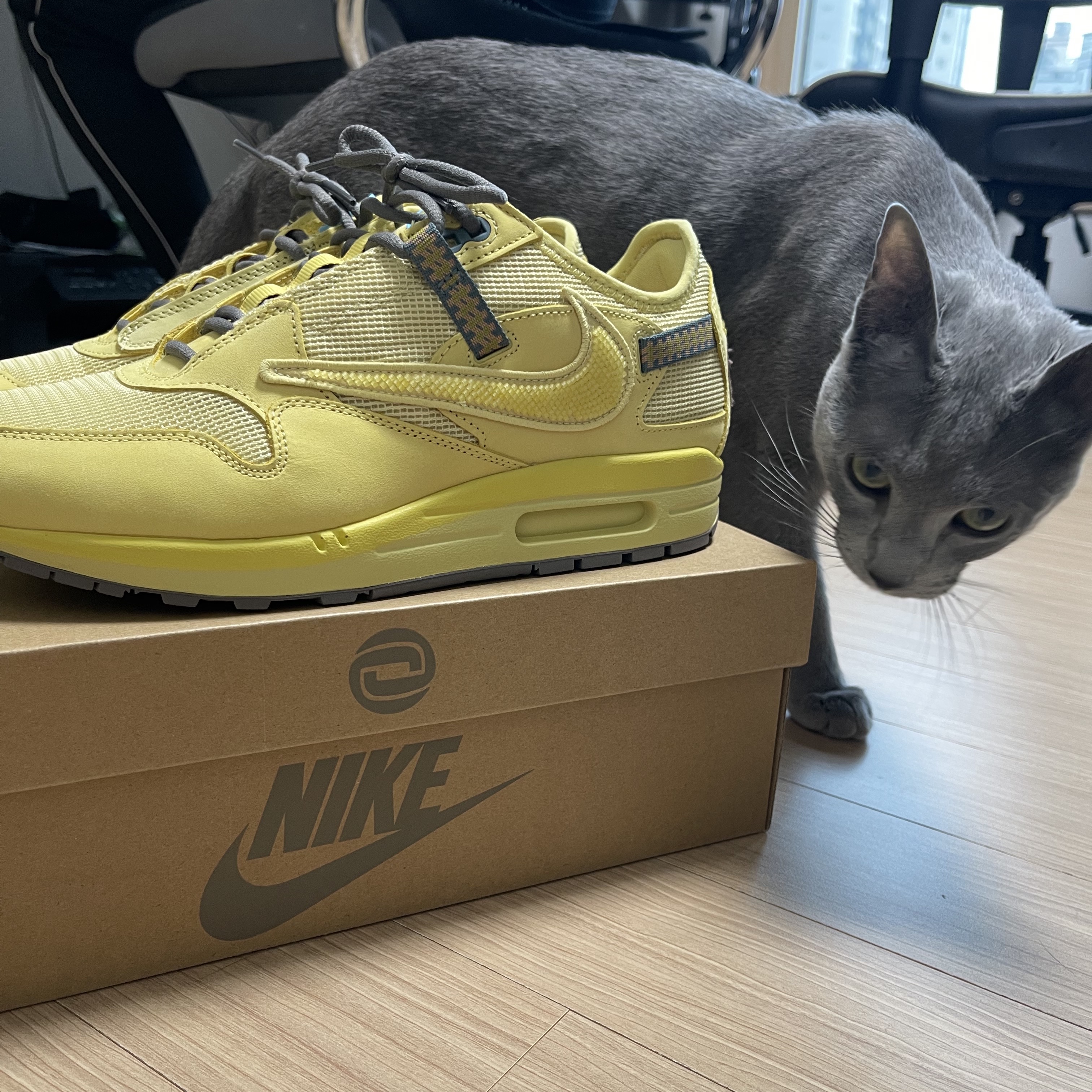 Nike x Travis Scott Air Max 1 Cact.us Gold 착용 스타일